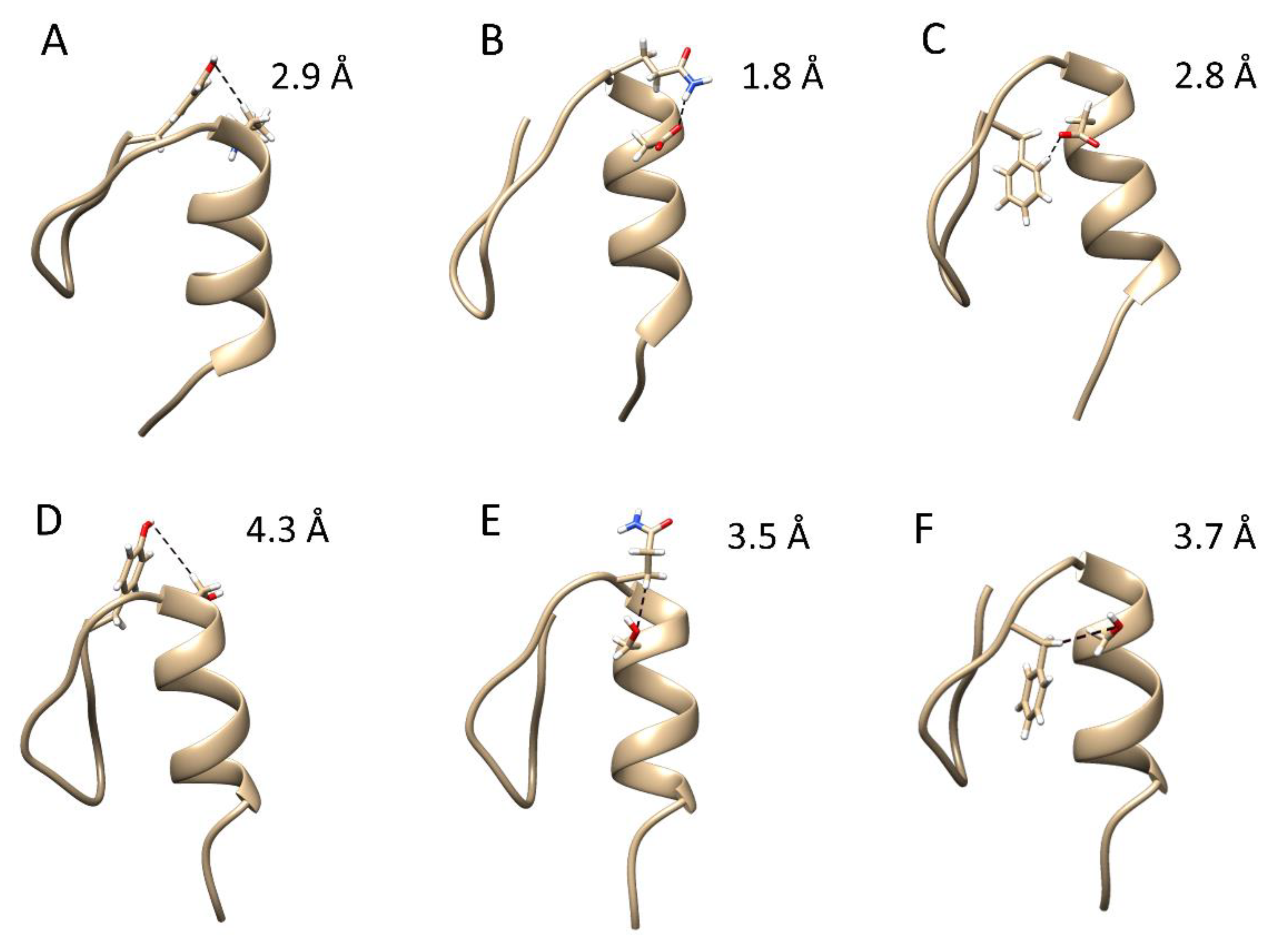 Ijms 23 14602 g002 Ijms 23 14602 g002