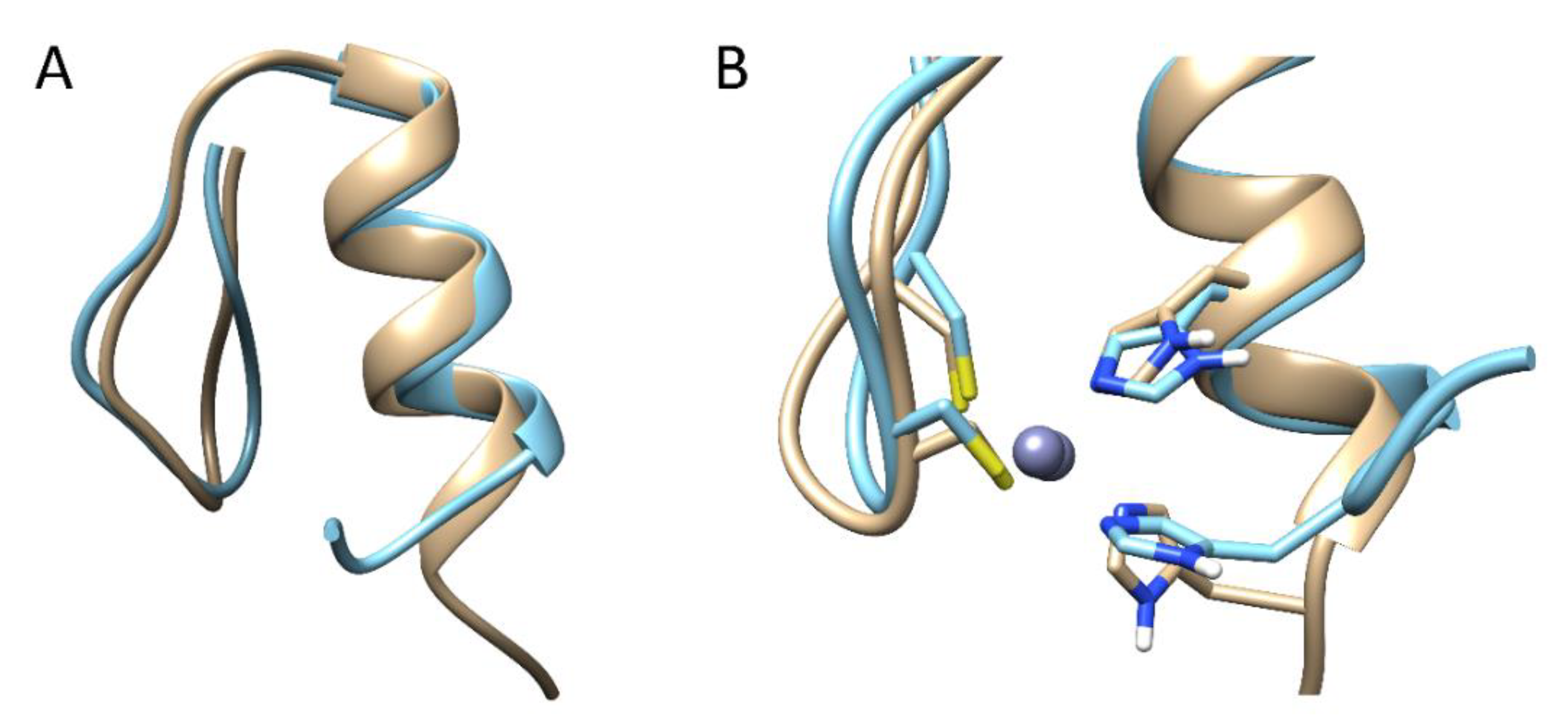 Ijms 23 14602 g003 Ijms 23 14602 g003