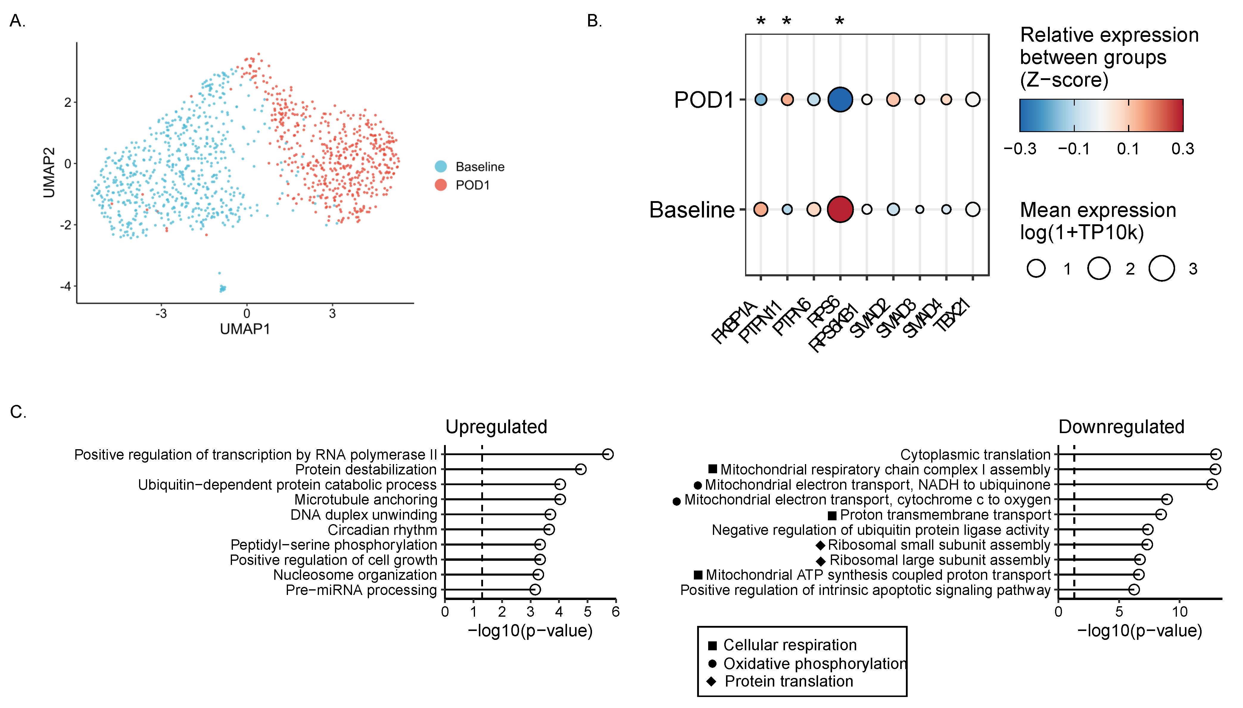 Ijms 23 14608 g005 Ijms 23 14608 g005