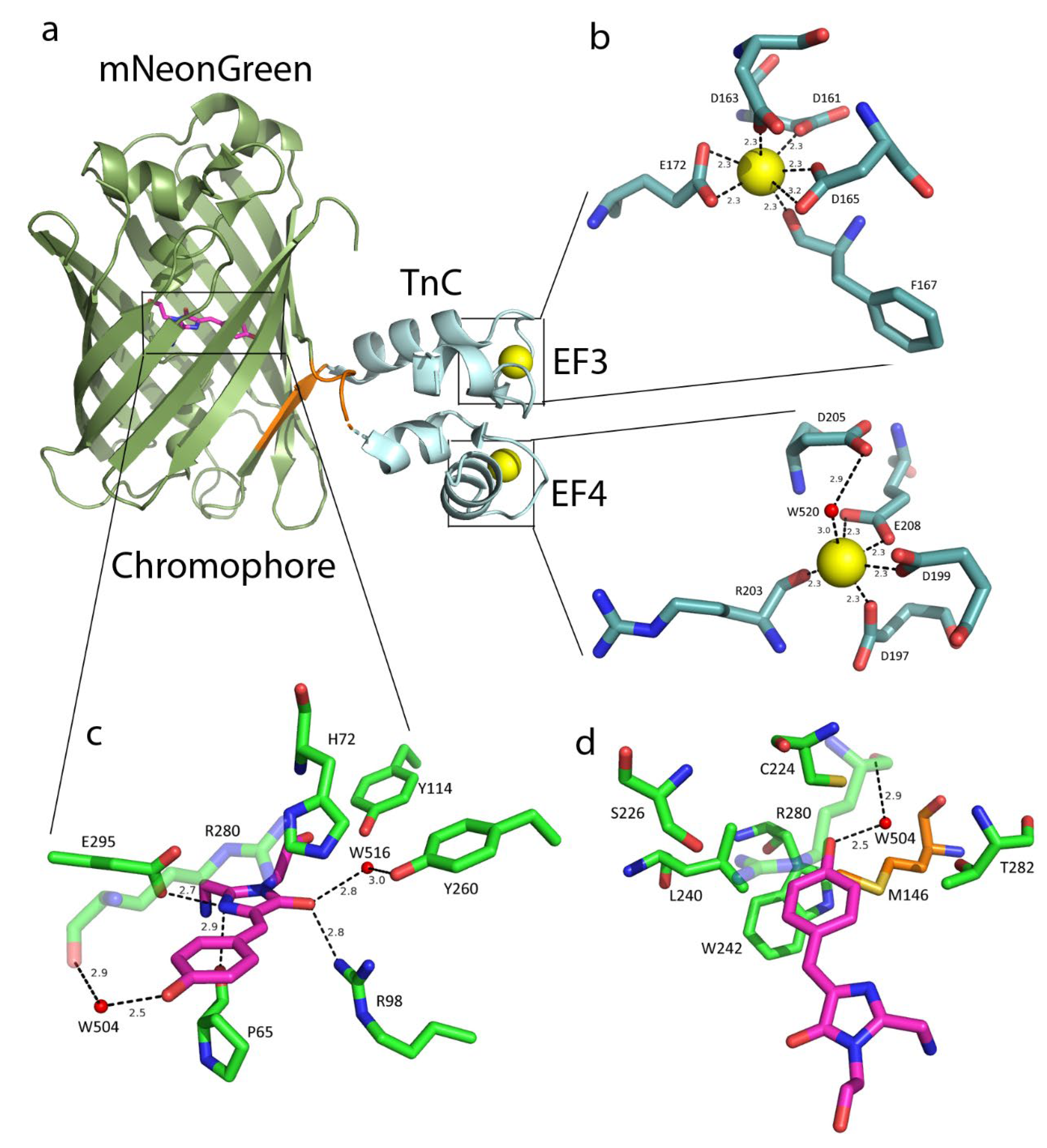 Ijms 23 14614 g001 Ijms 23 14614 g001