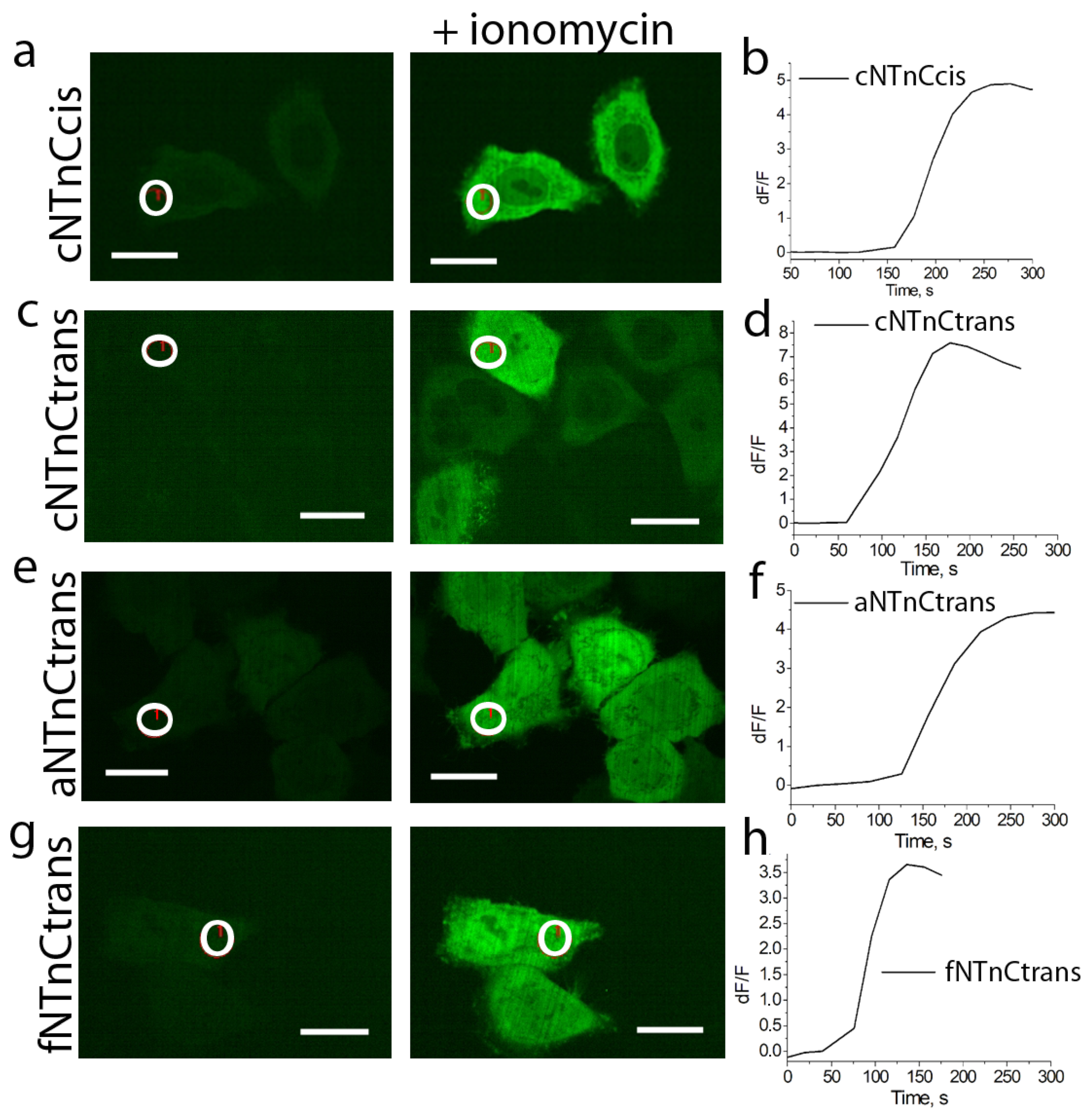 Ijms 23 14614 g003 Ijms 23 14614 g003