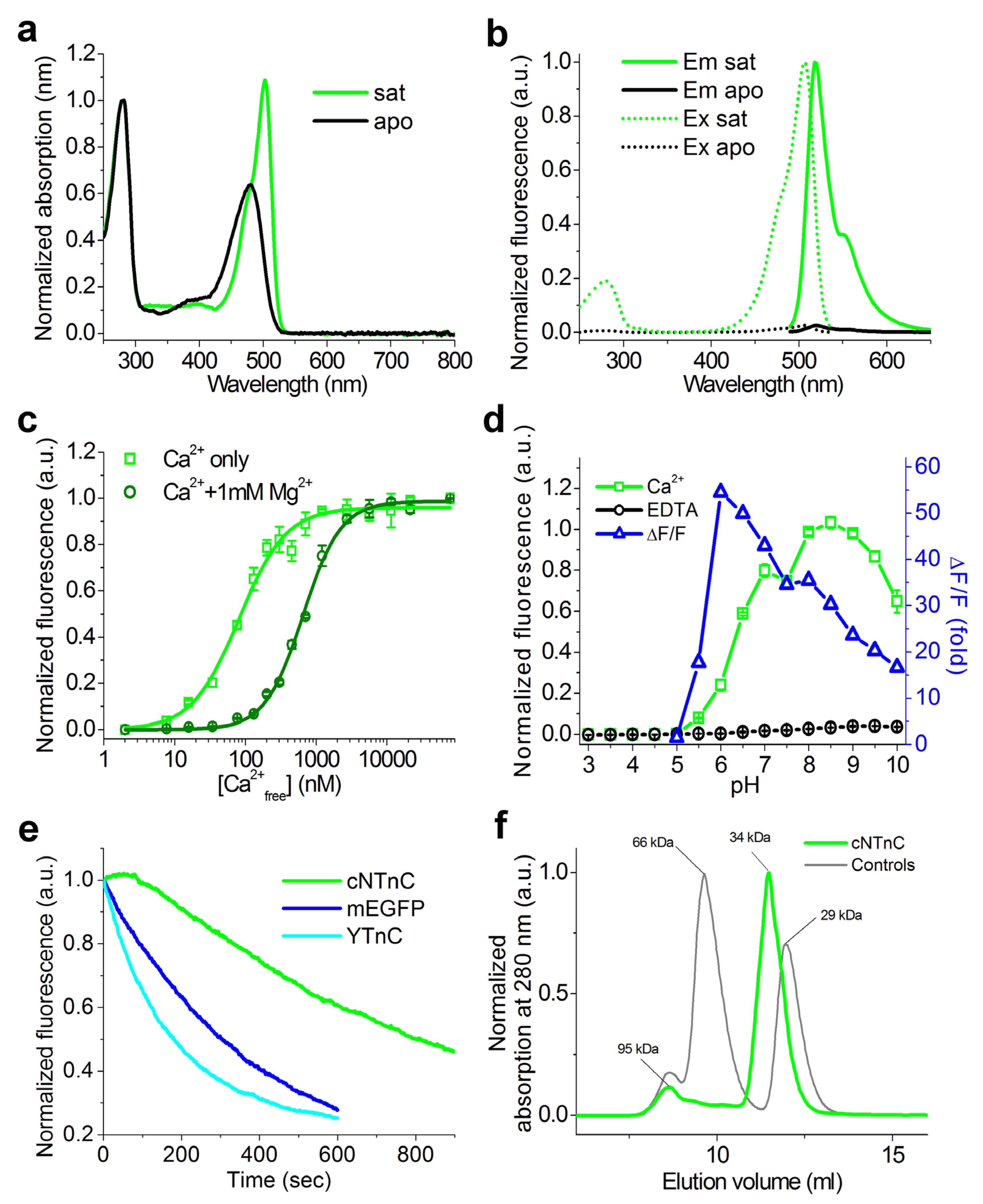 Ijms 23 14614 g005 Ijms 23 14614 g005