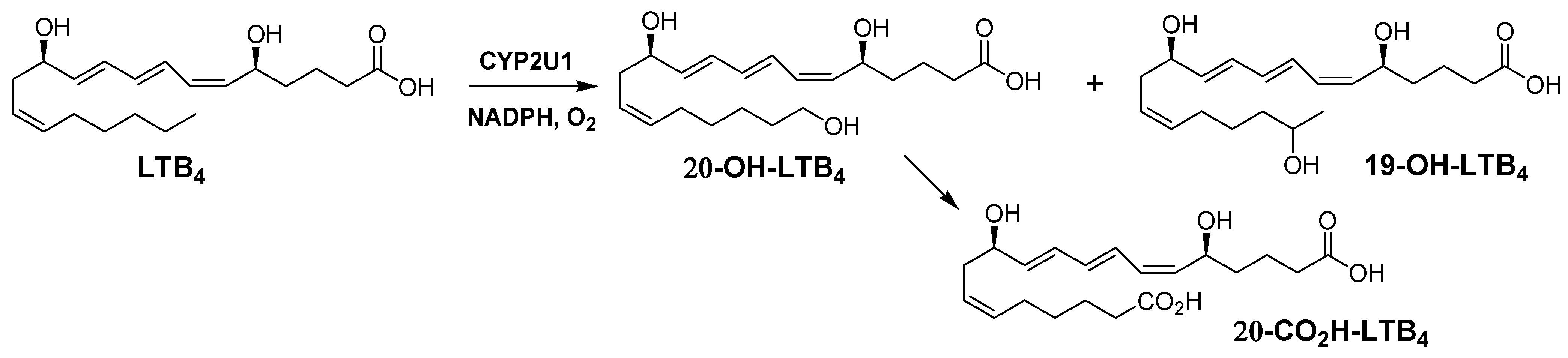 Ijms 23 14615 sch001