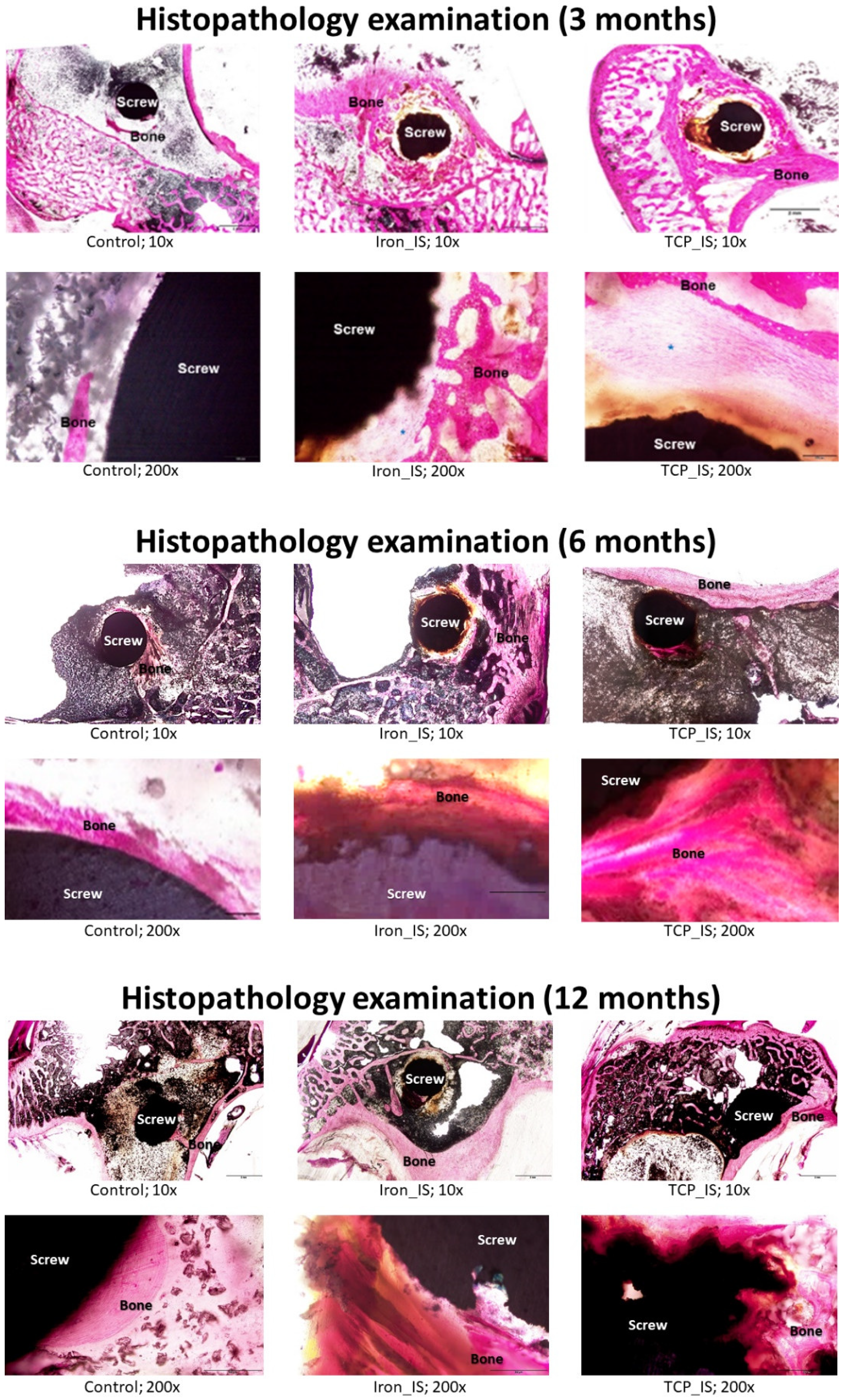 Ijms 23 14626 g007 Ijms 23 14626 g007