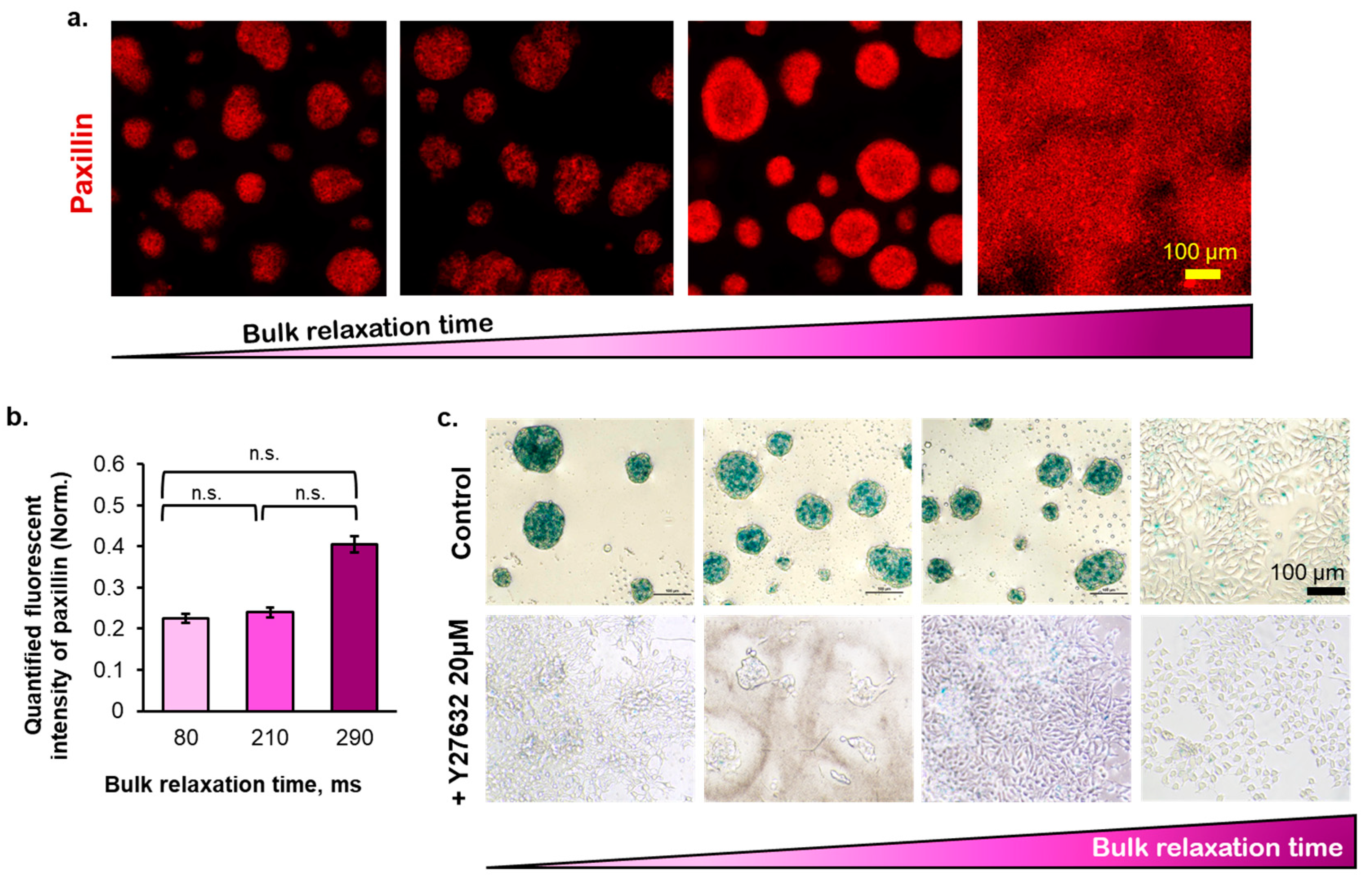 Ijms 23 14637 g003 Ijms 23 14637 g003
