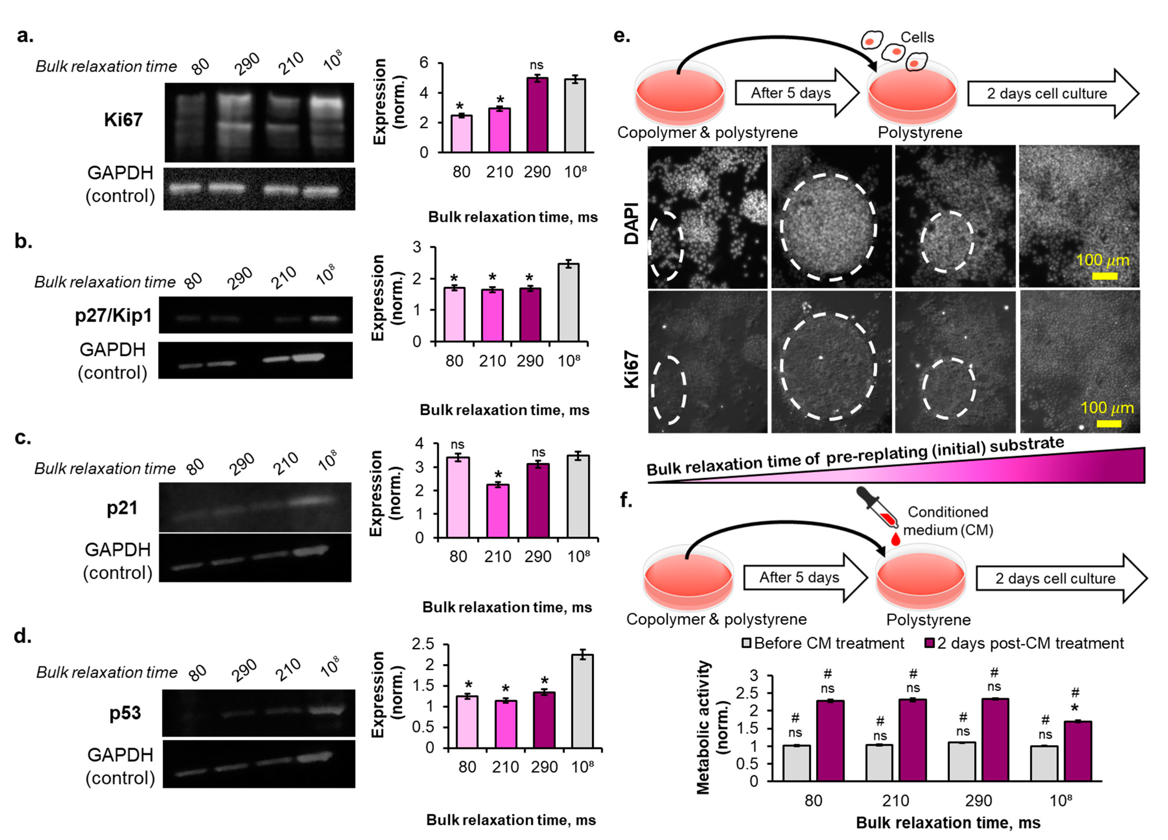 Ijms 23 14637 g006 Ijms 23 14637 g006