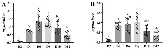 Myomaker and Myomixer Characterization in Gilthead Sea Bream under ...