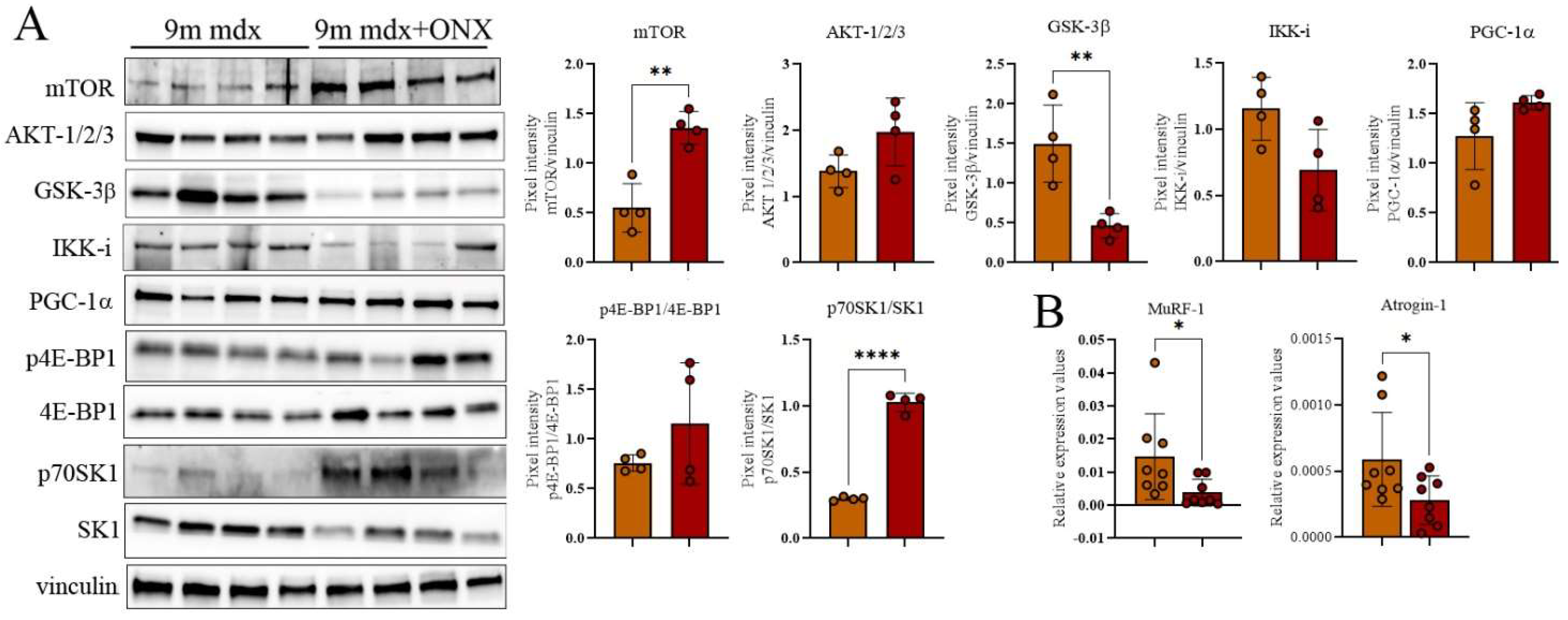 Ijms 23 14657 g005 Ijms 23 14657 g005