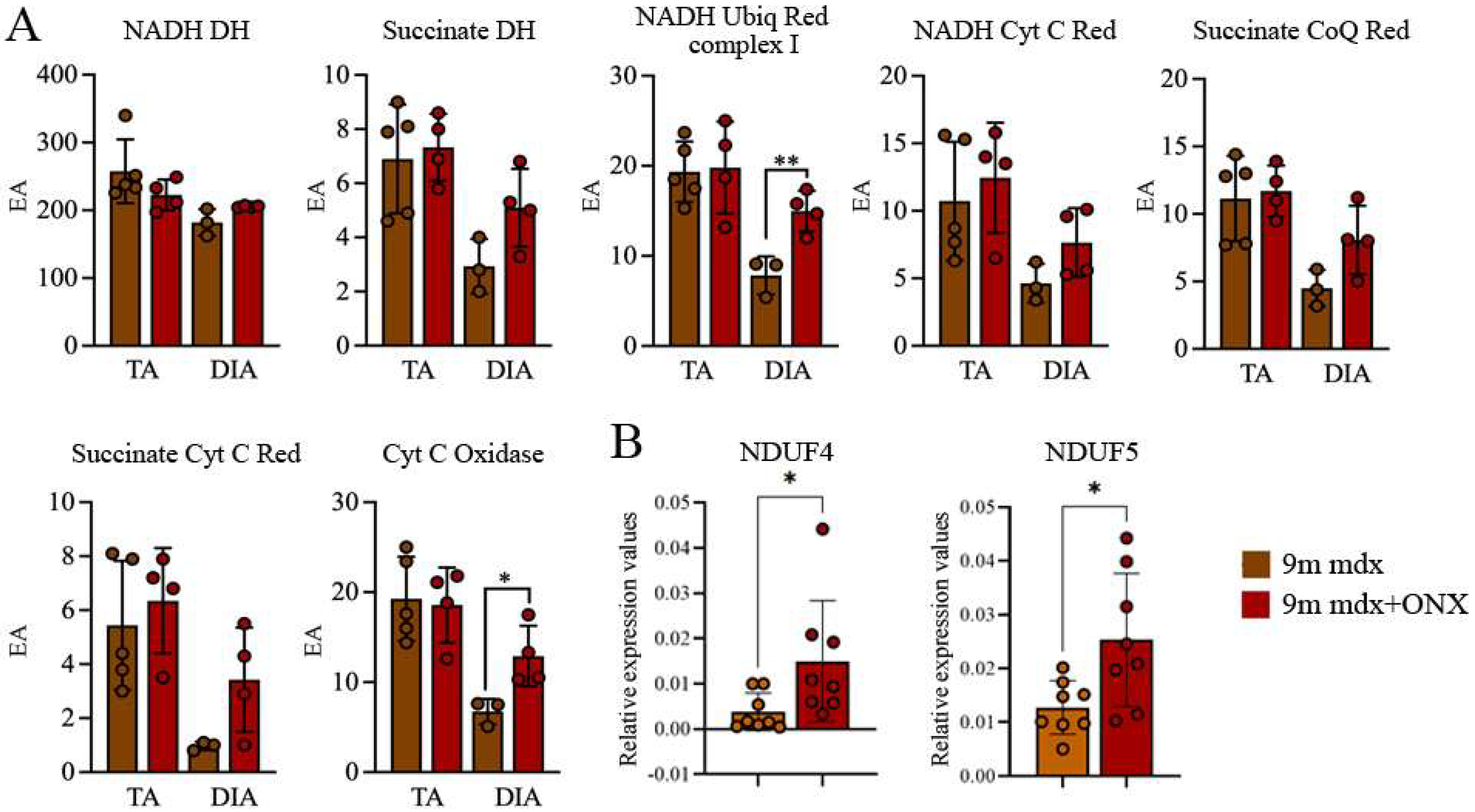 Ijms 23 14657 g007 Ijms 23 14657 g007
