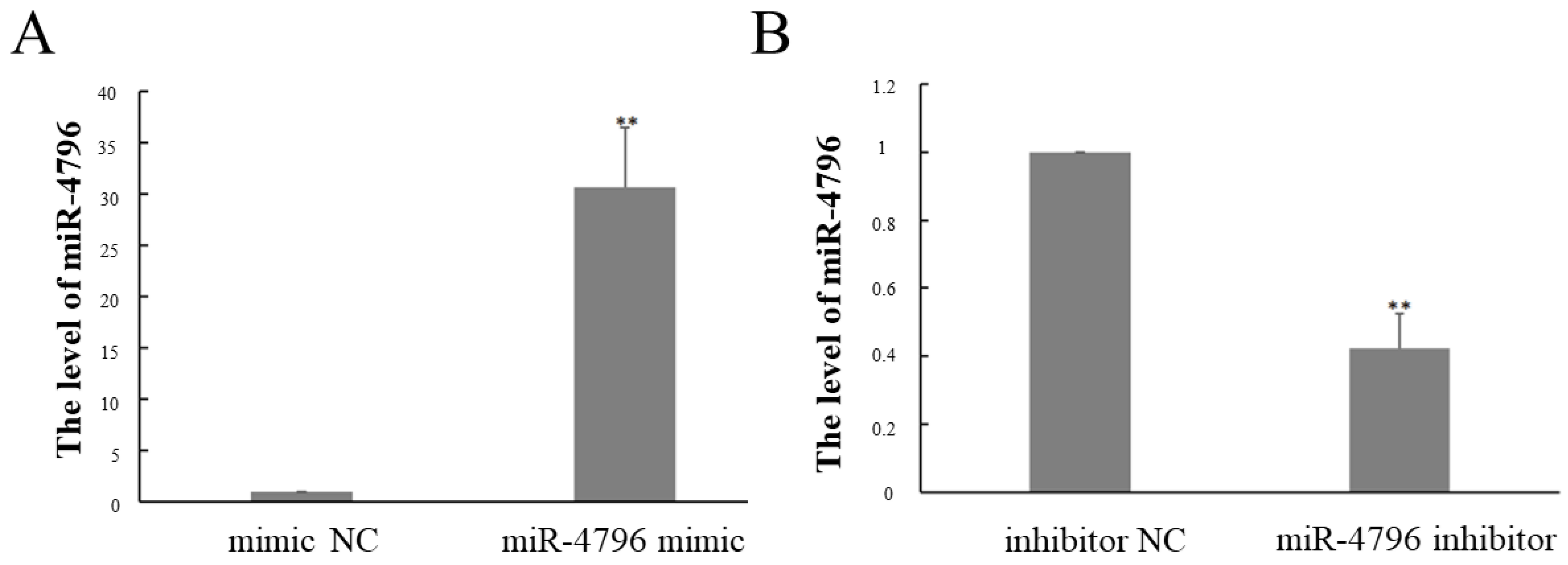 Ijms 23 14659 g001 Ijms 23 14659 g001