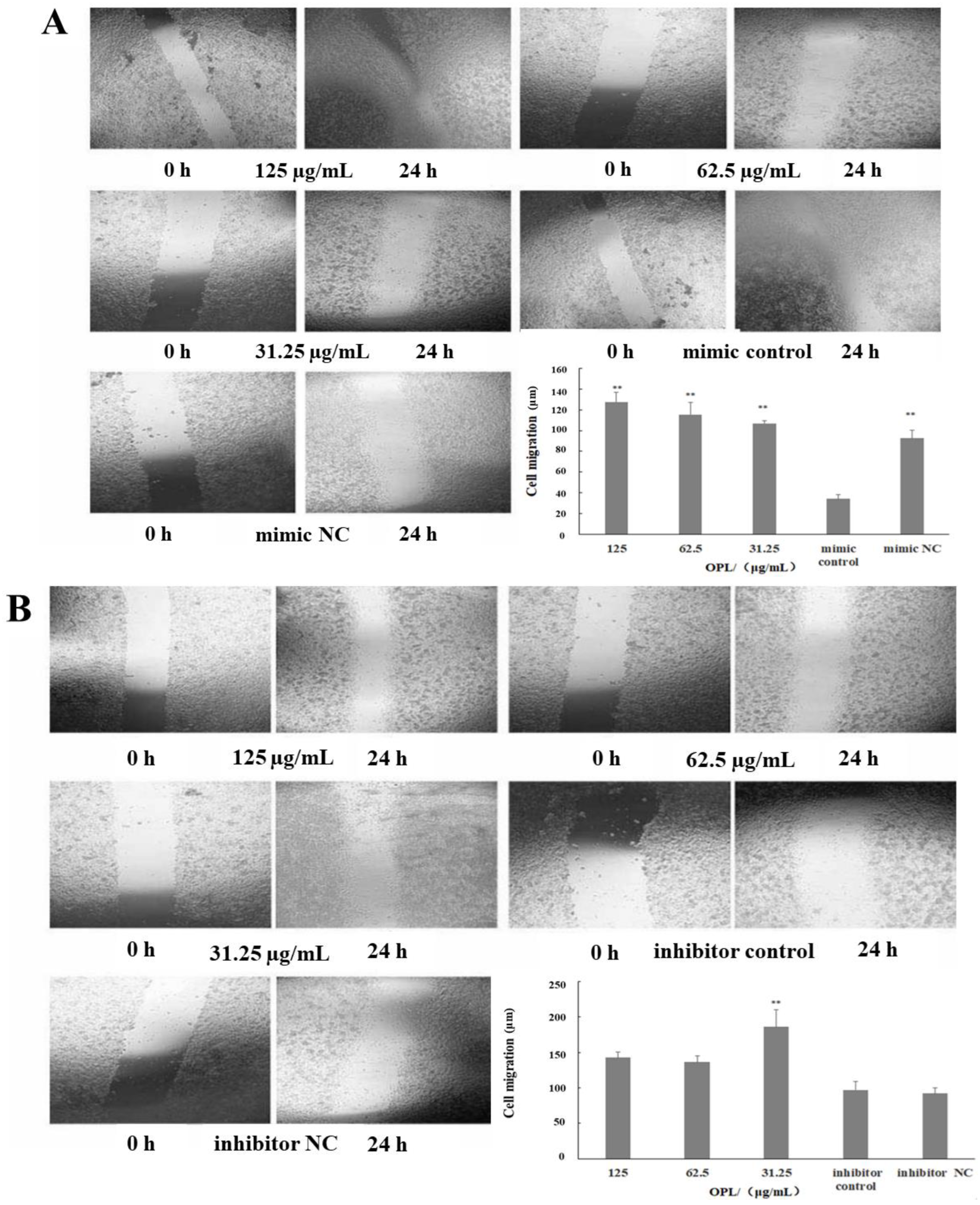 Ijms 23 14659 g003 Ijms 23 14659 g003