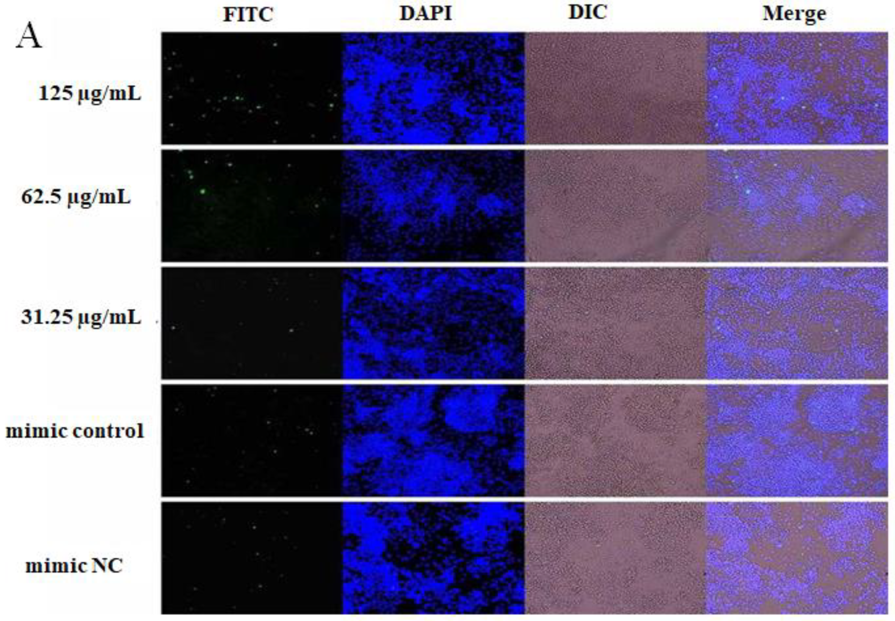 Ijms 23 14659 g006a Ijms 23 14659 g006a