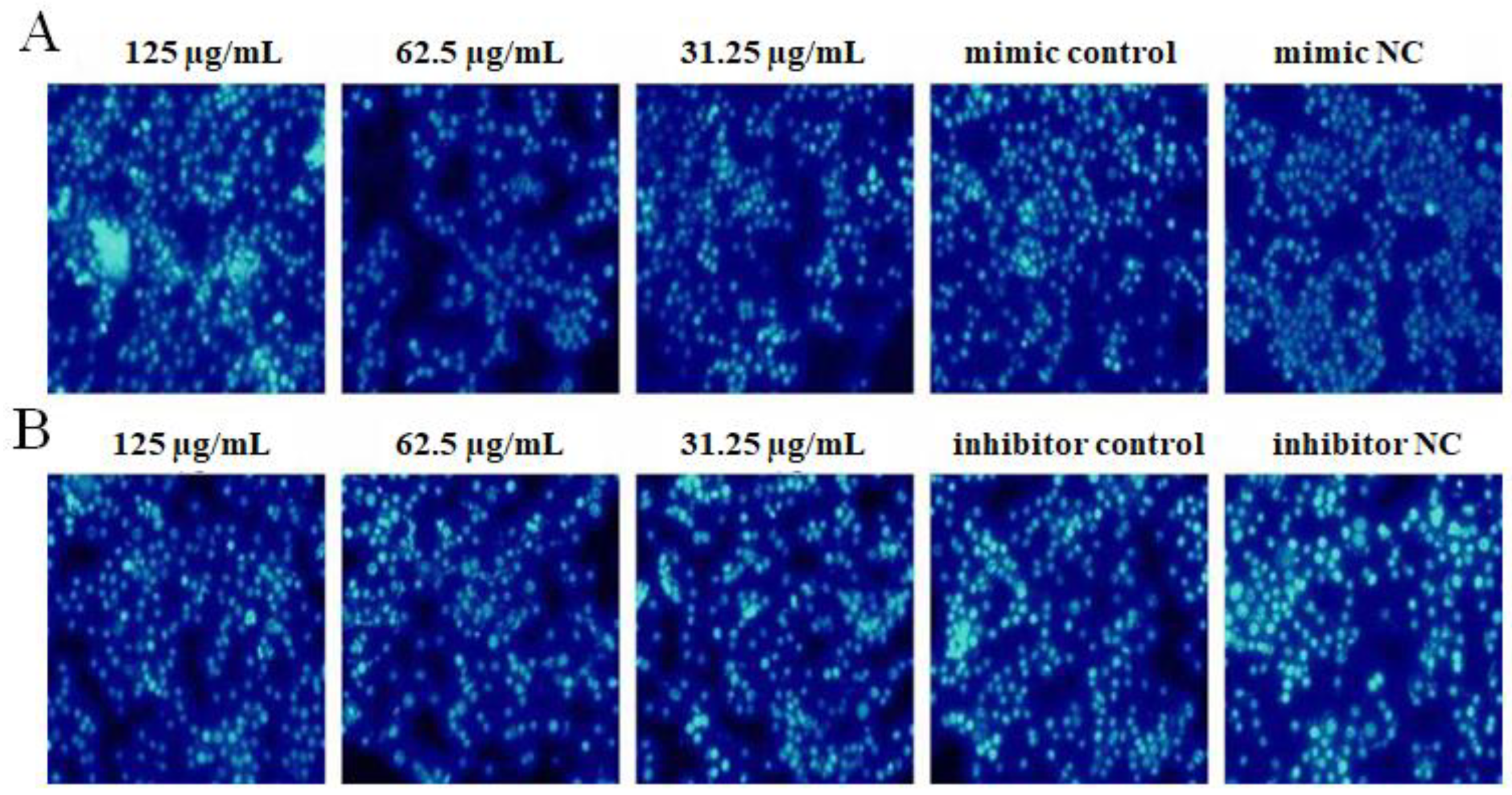 Ijms 23 14659 g007 Ijms 23 14659 g007