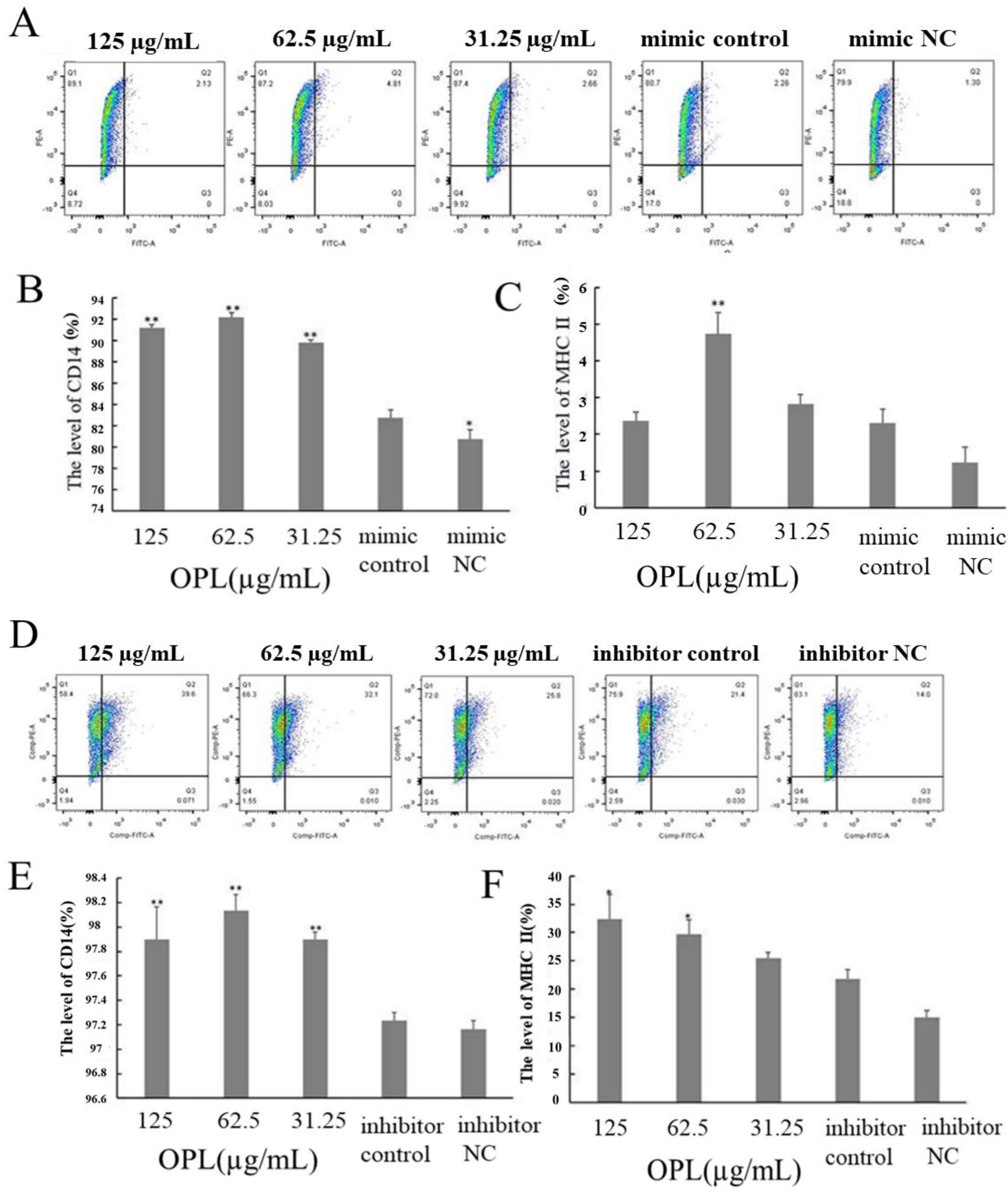 Ijms 23 14659 g008 Ijms 23 14659 g008