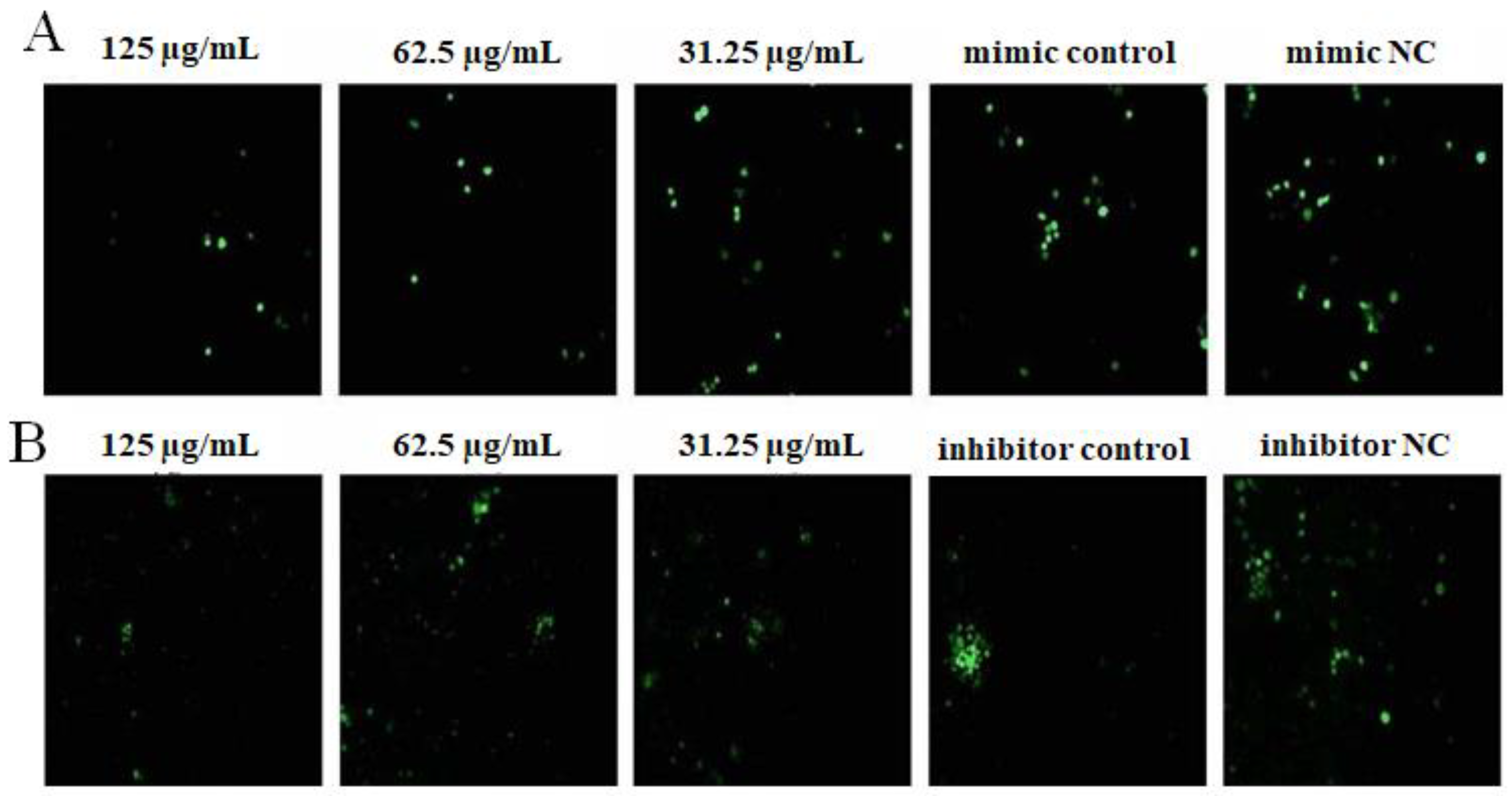 Ijms 23 14659 g009 Ijms 23 14659 g009