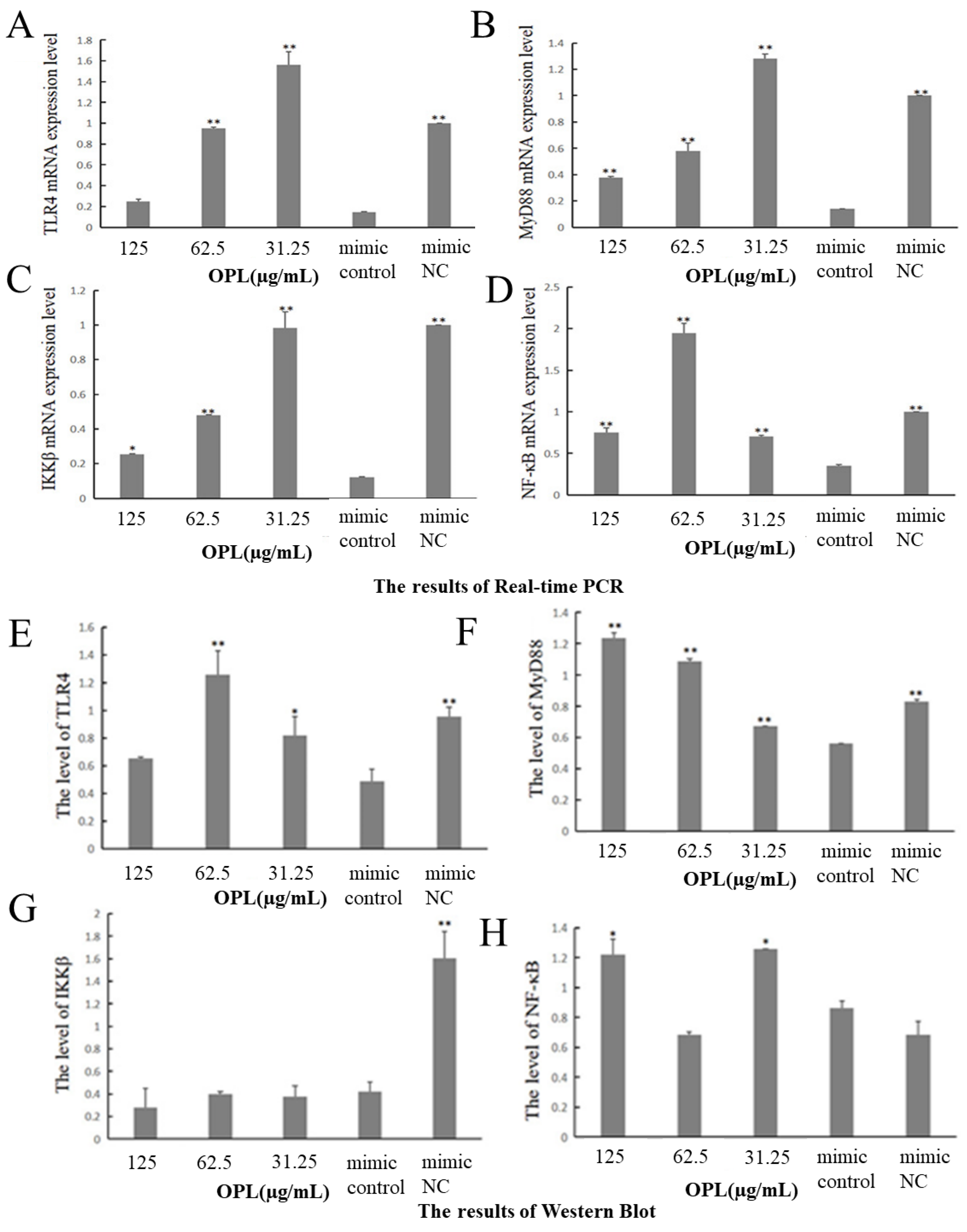 Ijms 23 14659 g010a Ijms 23 14659 g010a