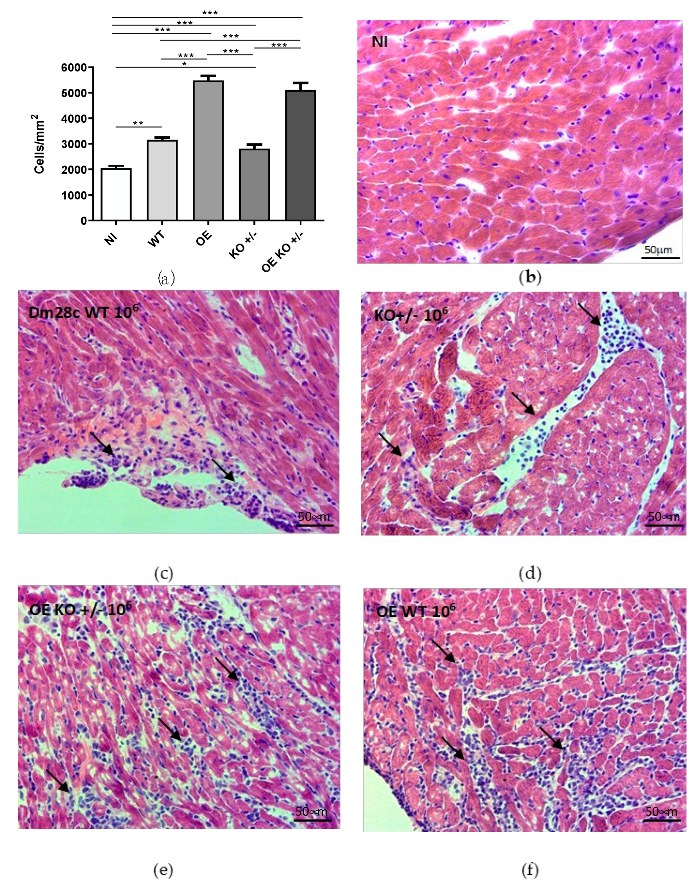 Ijms 23 14661 g003 Ijms 23 14661 g003
