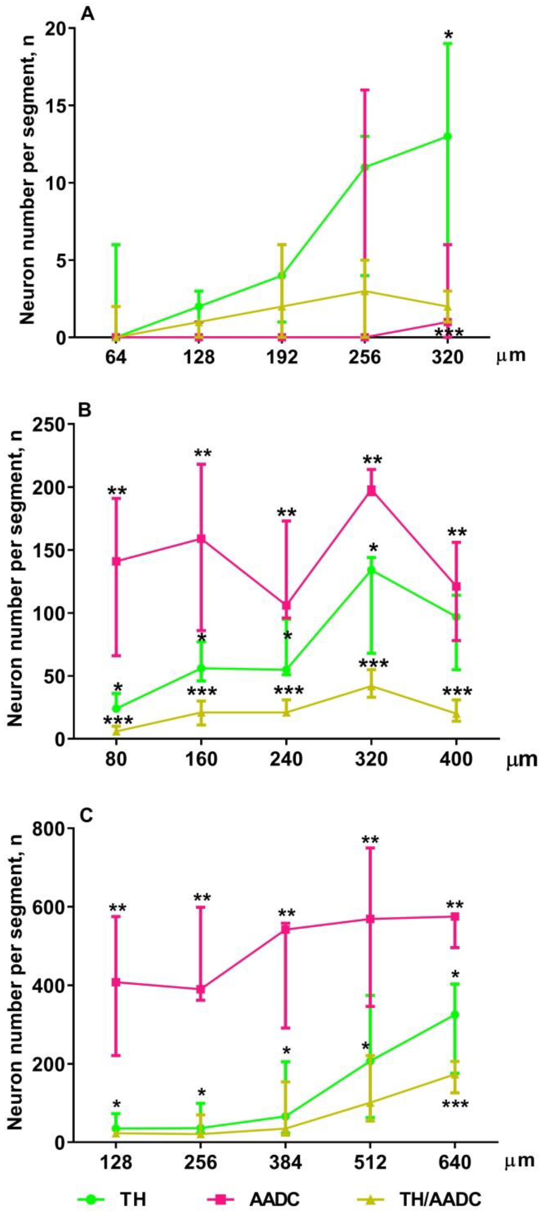 Ijms 23 14682 g007 Ijms 23 14682 g007