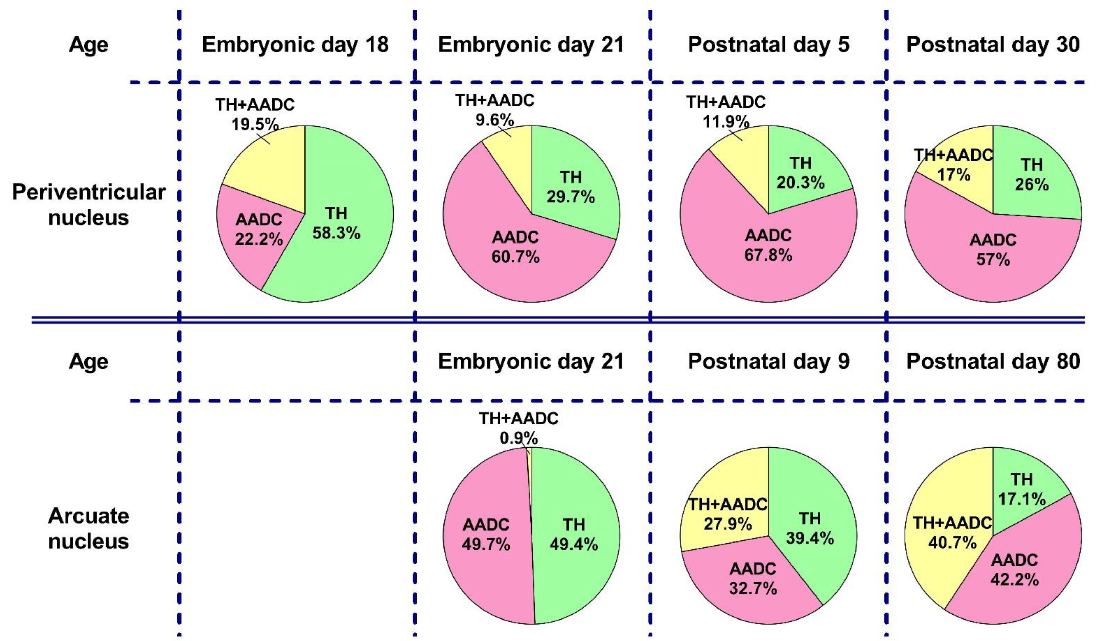 Ijms 23 14682 g010 Ijms 23 14682 g010