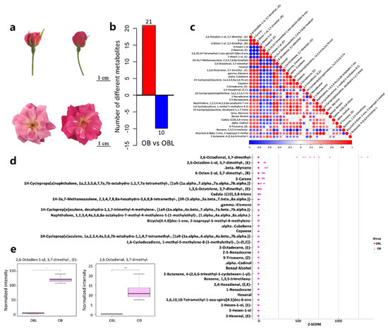 Identification and Characterization of Transcription Factors