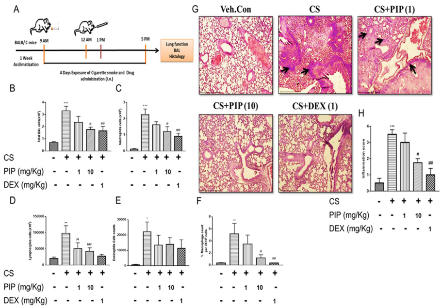 Ijms 23 14722 g006 Ijms 23 14722 g006
