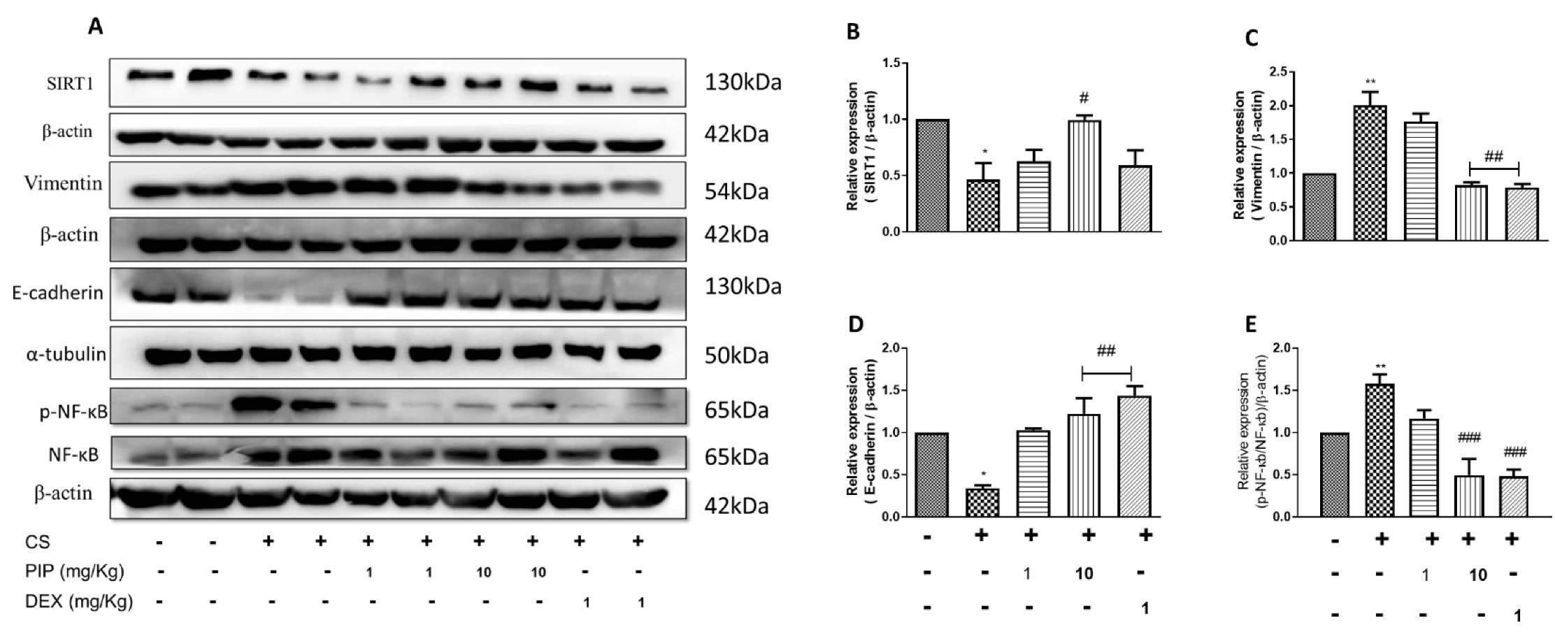 Ijms 23 14722 g009 Ijms 23 14722 g009