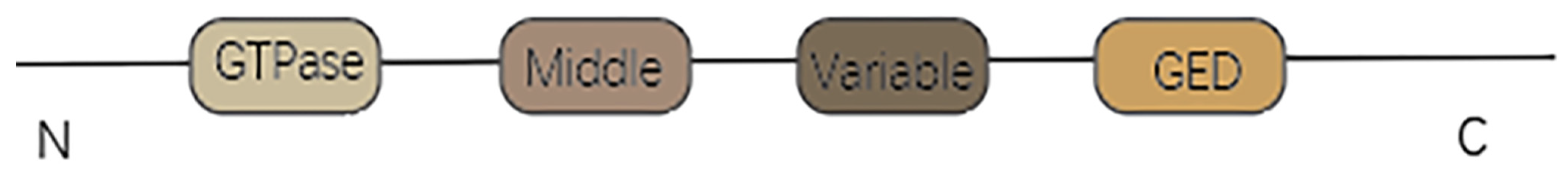 Ijms 23 14725 g006 Ijms 23 14725 g006