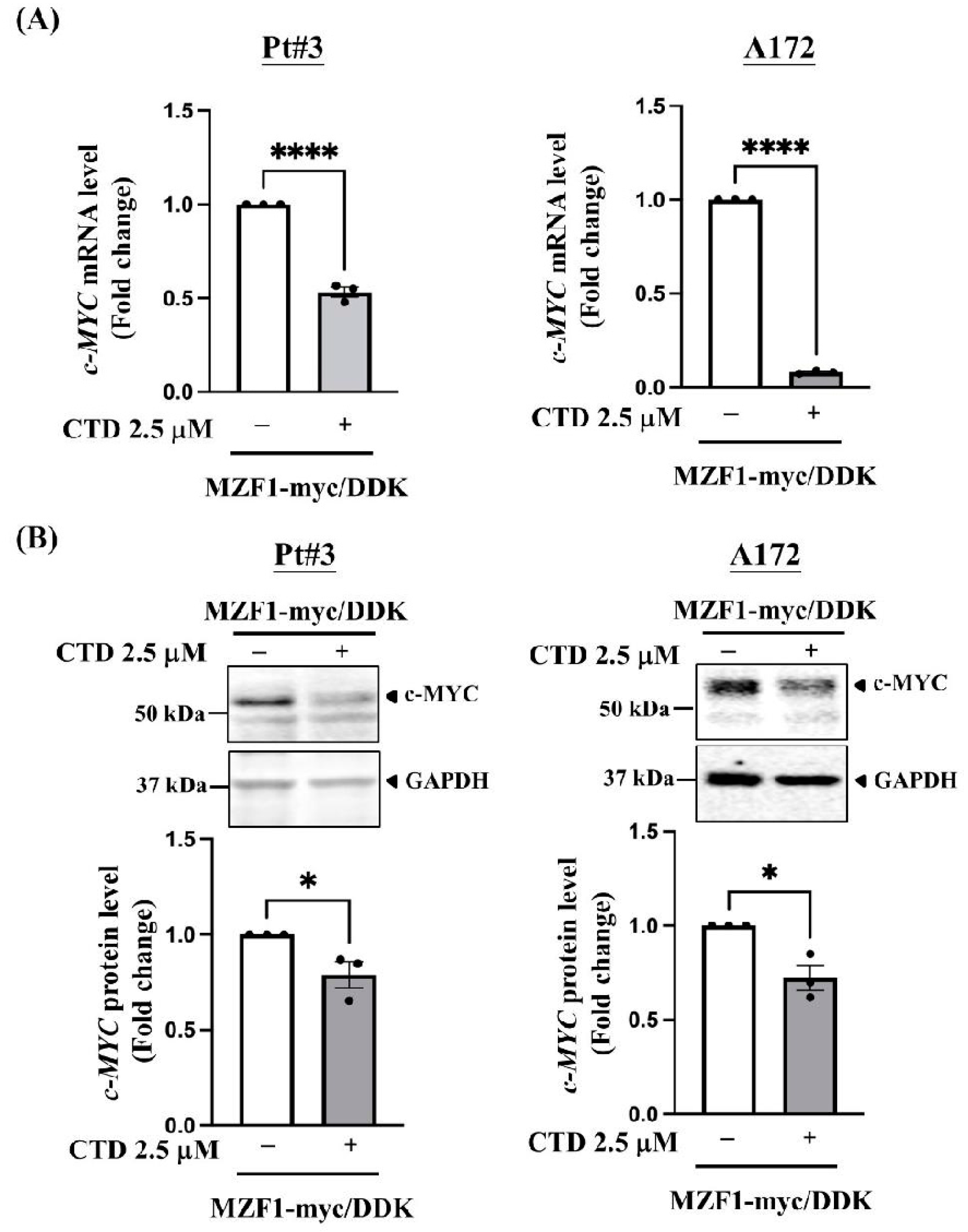 Inhibition of MZF1/c-MYC Axis by Cantharidin Impairs Cell