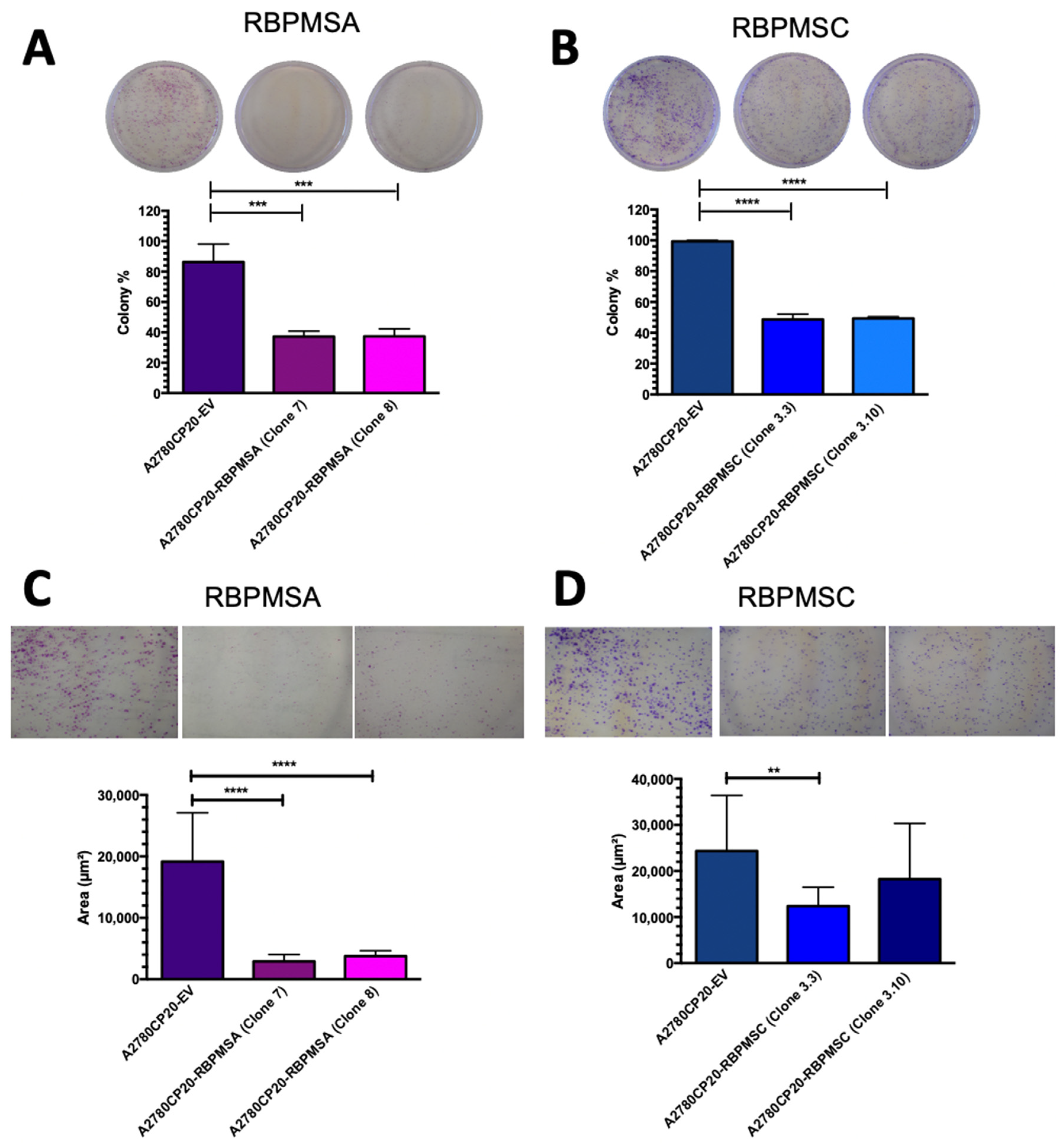 Ijms 23 14742 g002a Ijms 23 14742 g002a