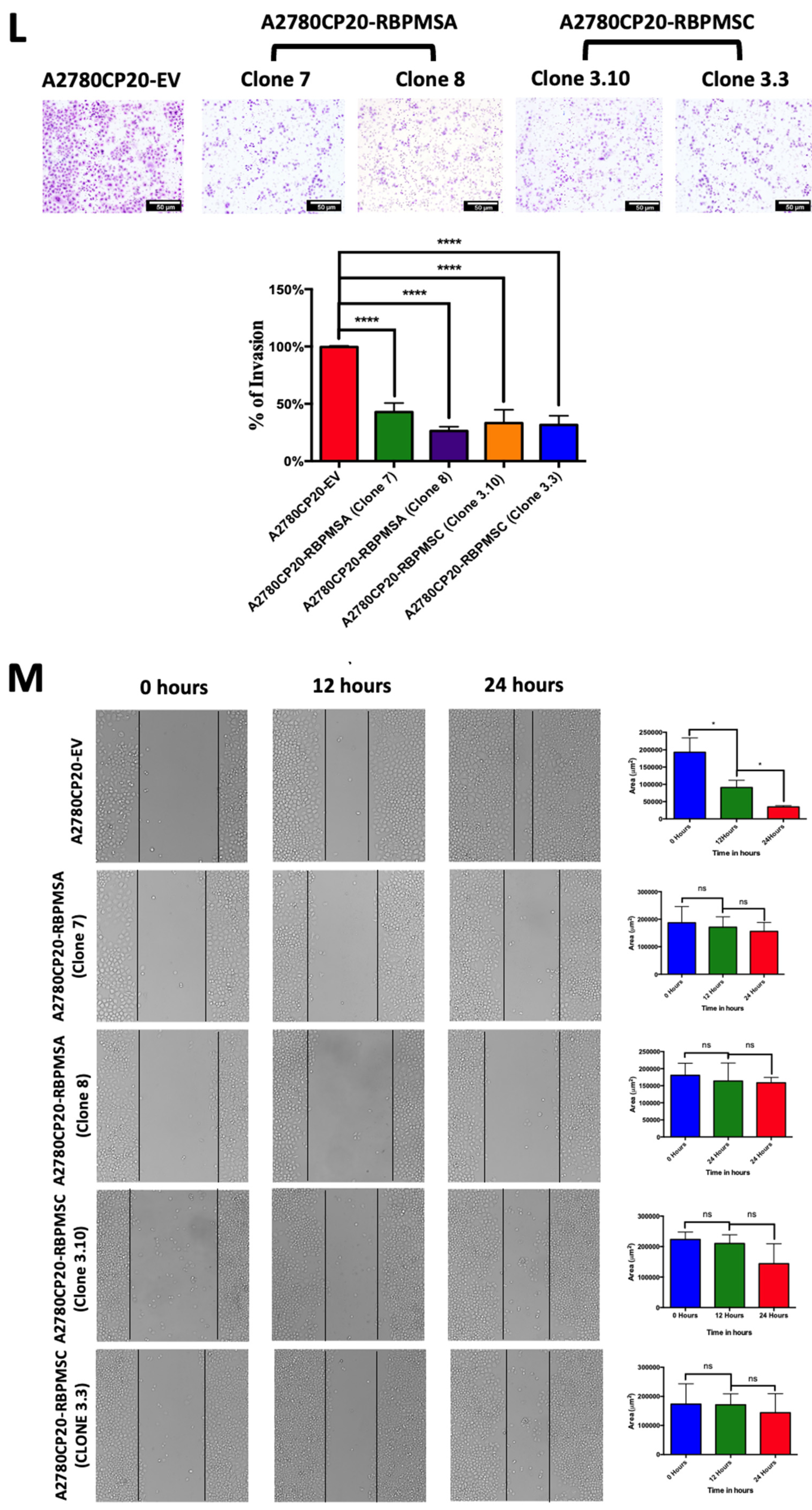 Ijms 23 14742 g002d Ijms 23 14742 g002d