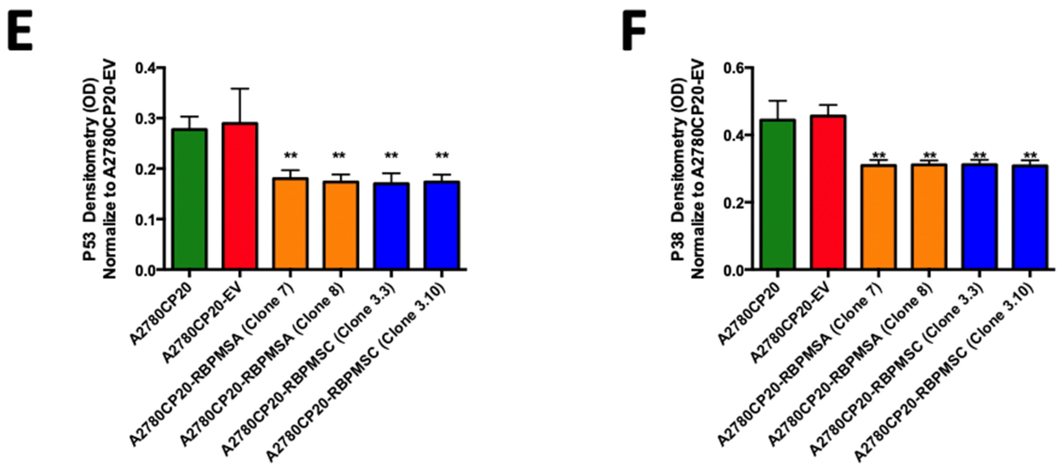 Ijms 23 14742 g003b Ijms 23 14742 g003b
