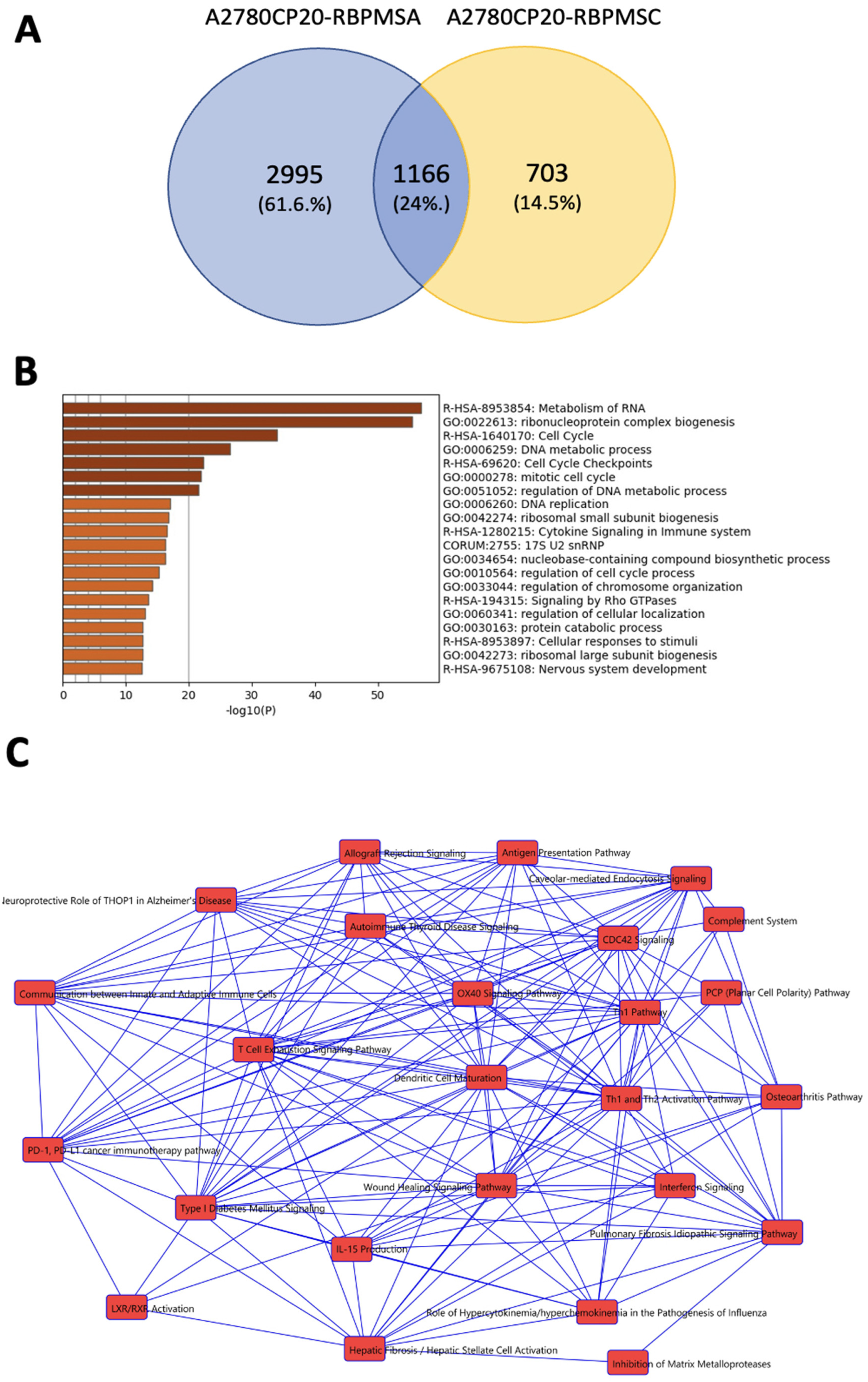 Ijms 23 14742 g005a Ijms 23 14742 g005a