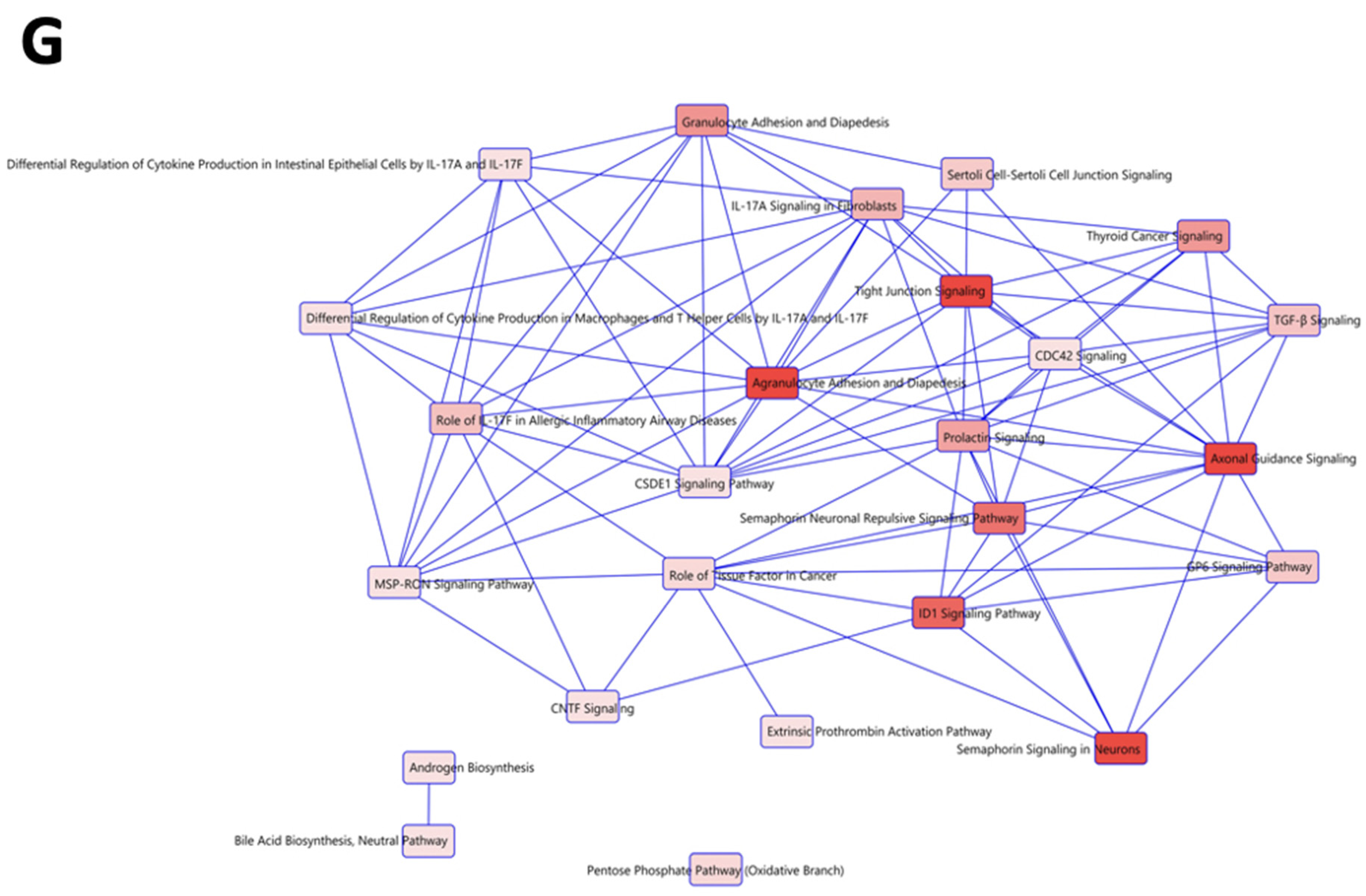 Ijms 23 14742 g005c Ijms 23 14742 g005c