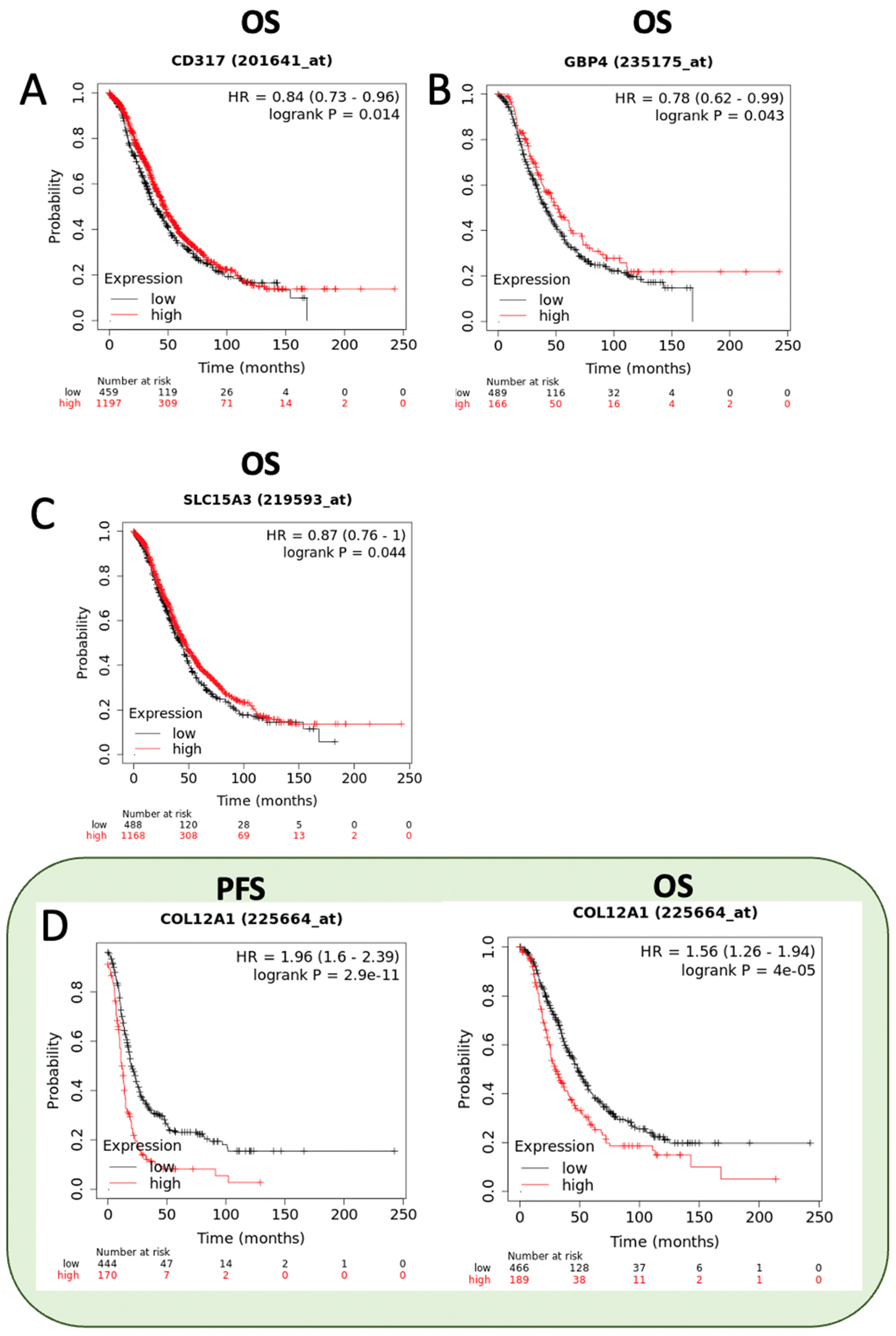 Ijms 23 14742 g006a Ijms 23 14742 g006a