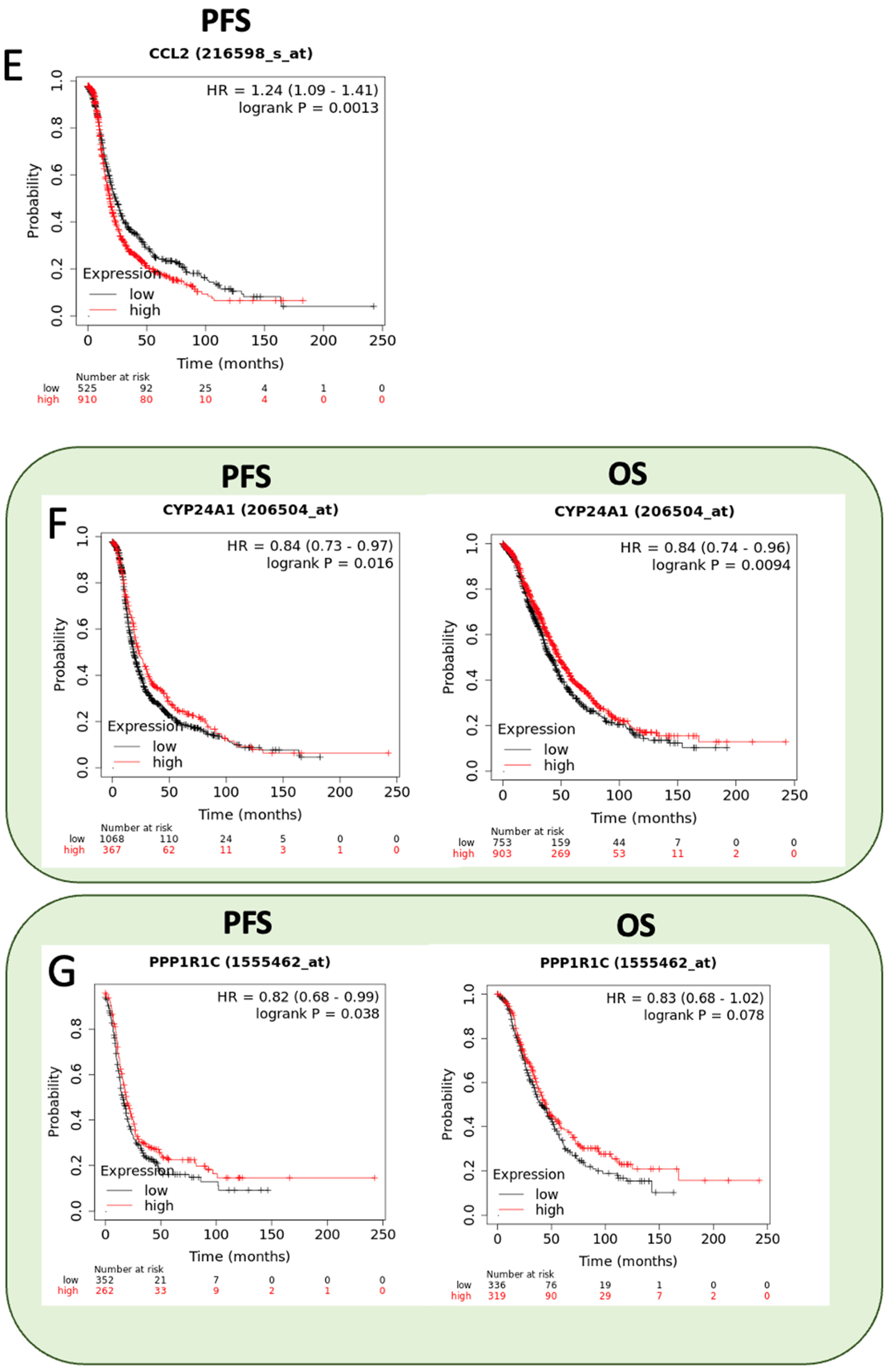 Ijms 23 14742 g006b Ijms 23 14742 g006b