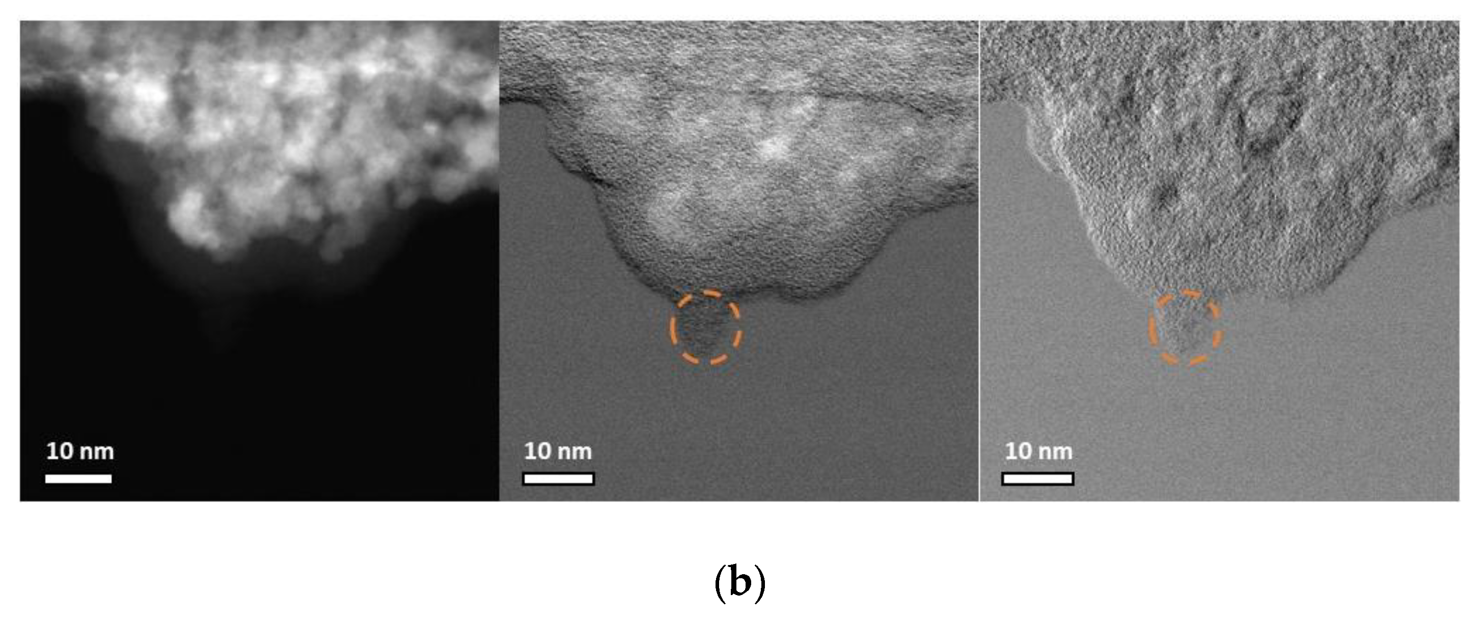 IJMS Free FullText CarboxymethylDextranCoated Iron Oxide Nanoparticles