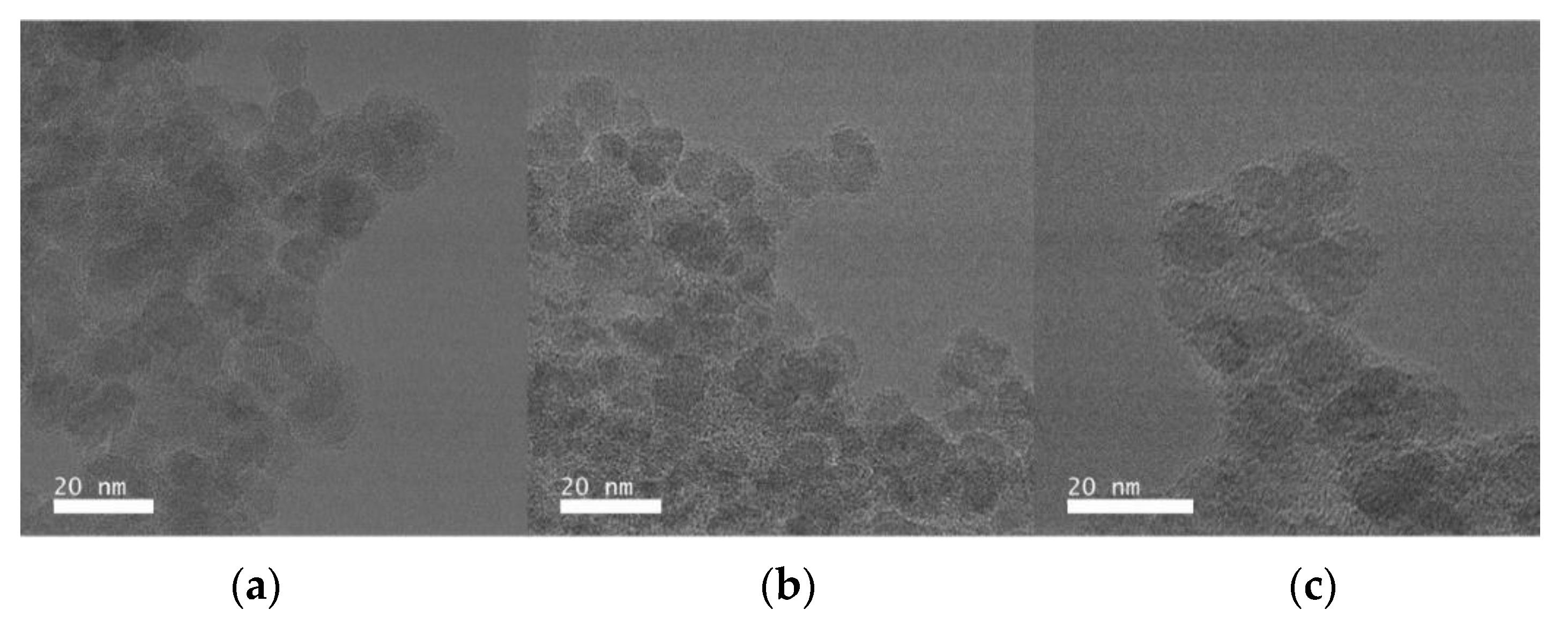 IJMS Free FullText CarboxymethylDextranCoated Iron Oxide Nanoparticles