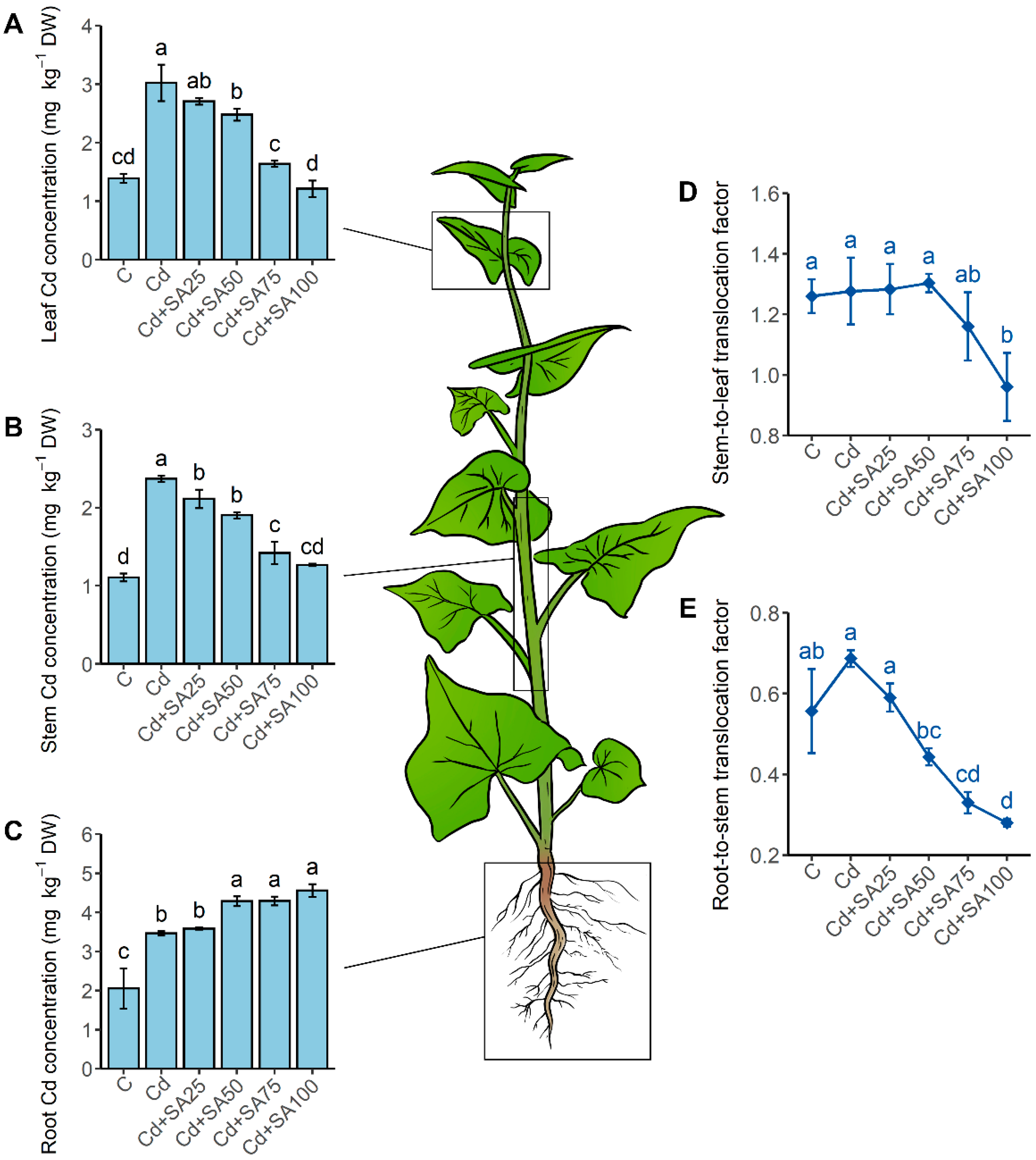Ijms 23 14746 g002 Ijms 23 14746 g002
