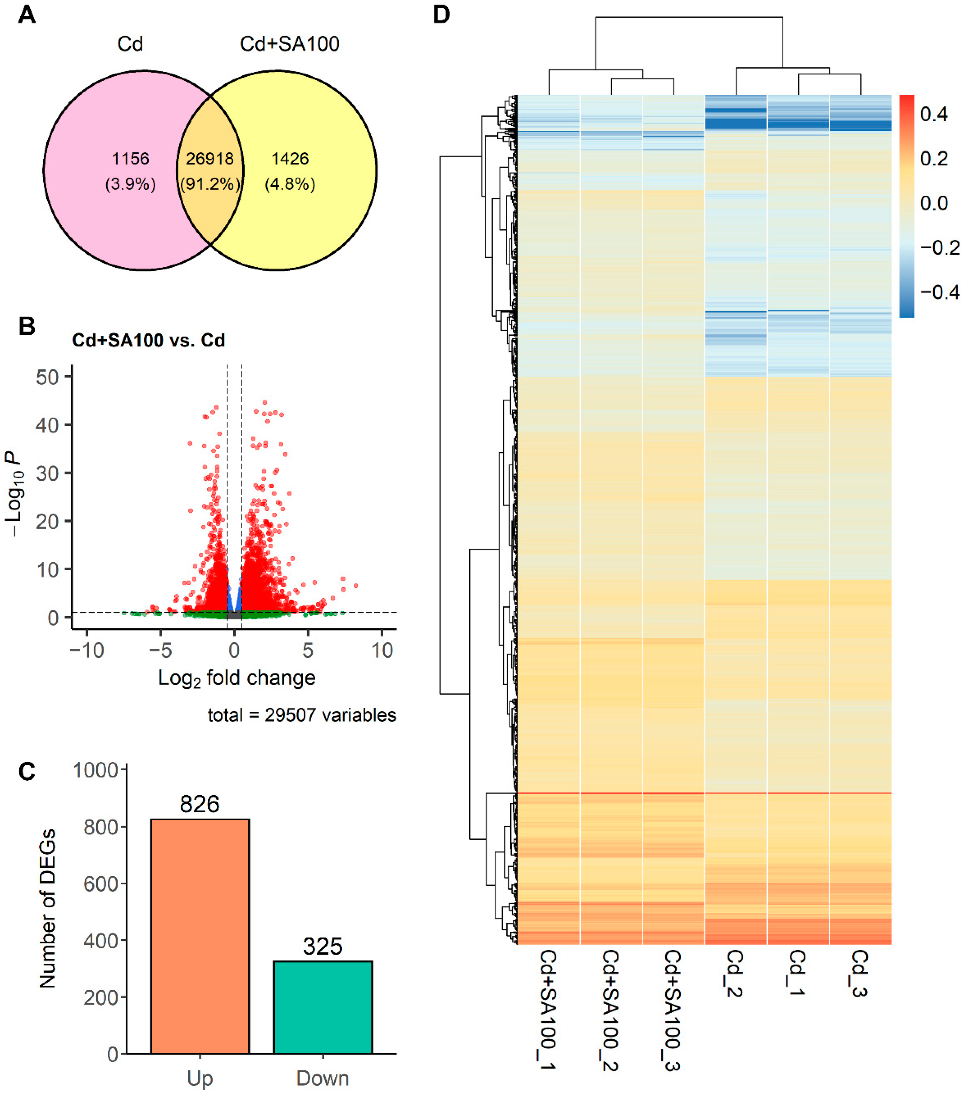 Ijms 23 14746 g004 Ijms 23 14746 g004