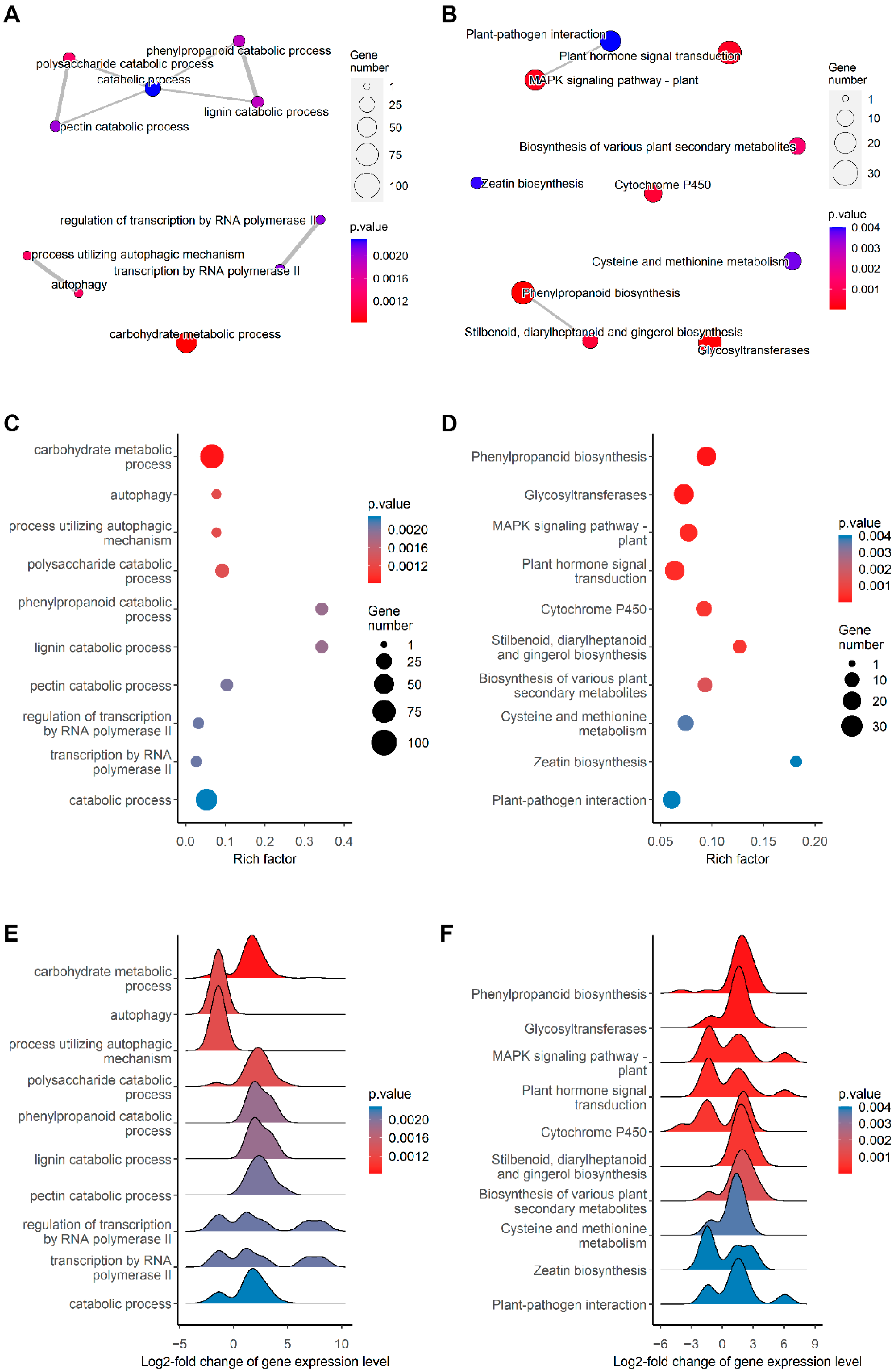 Ijms 23 14746 g005 Ijms 23 14746 g005