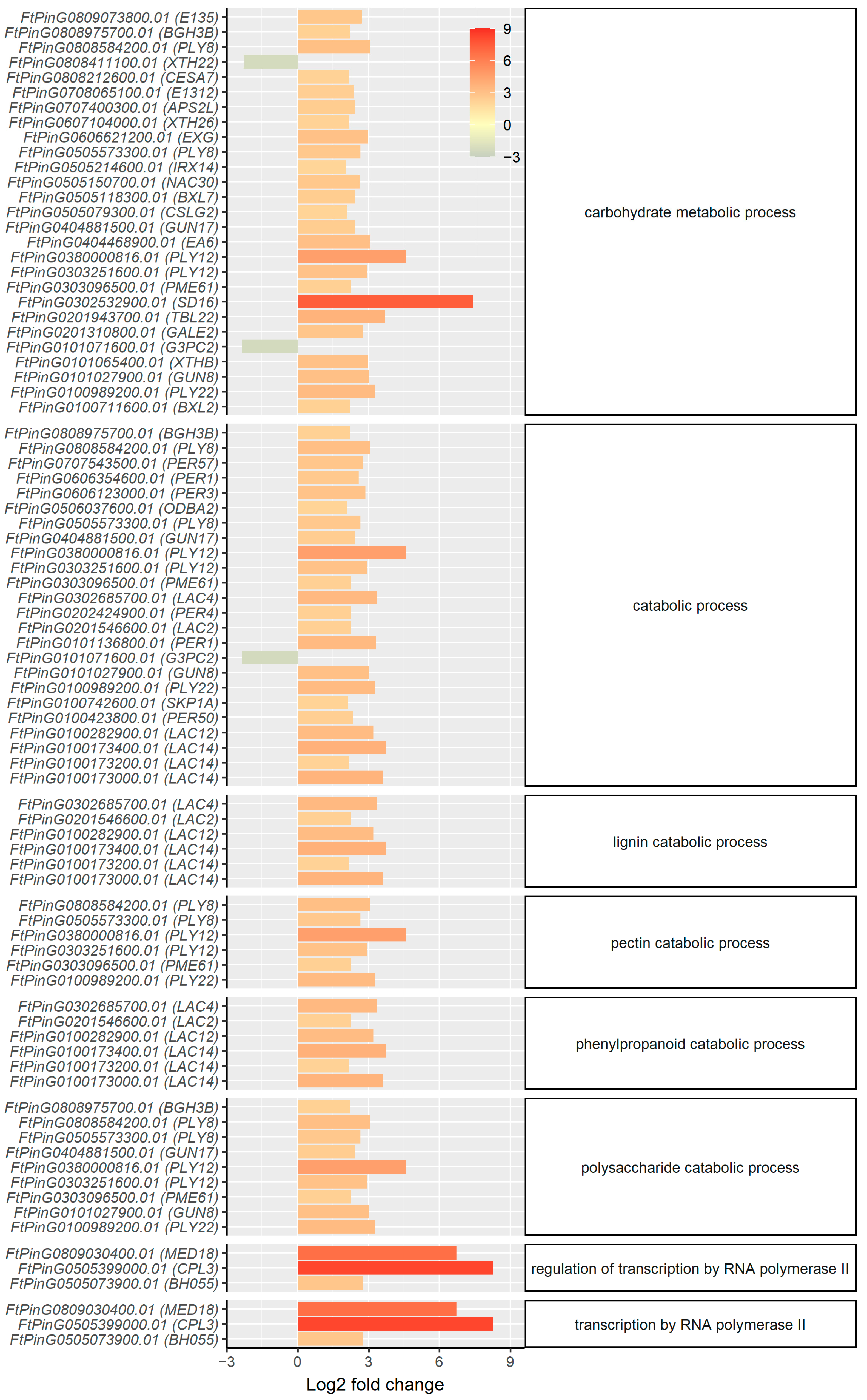 Ijms 23 14746 g006 Ijms 23 14746 g006