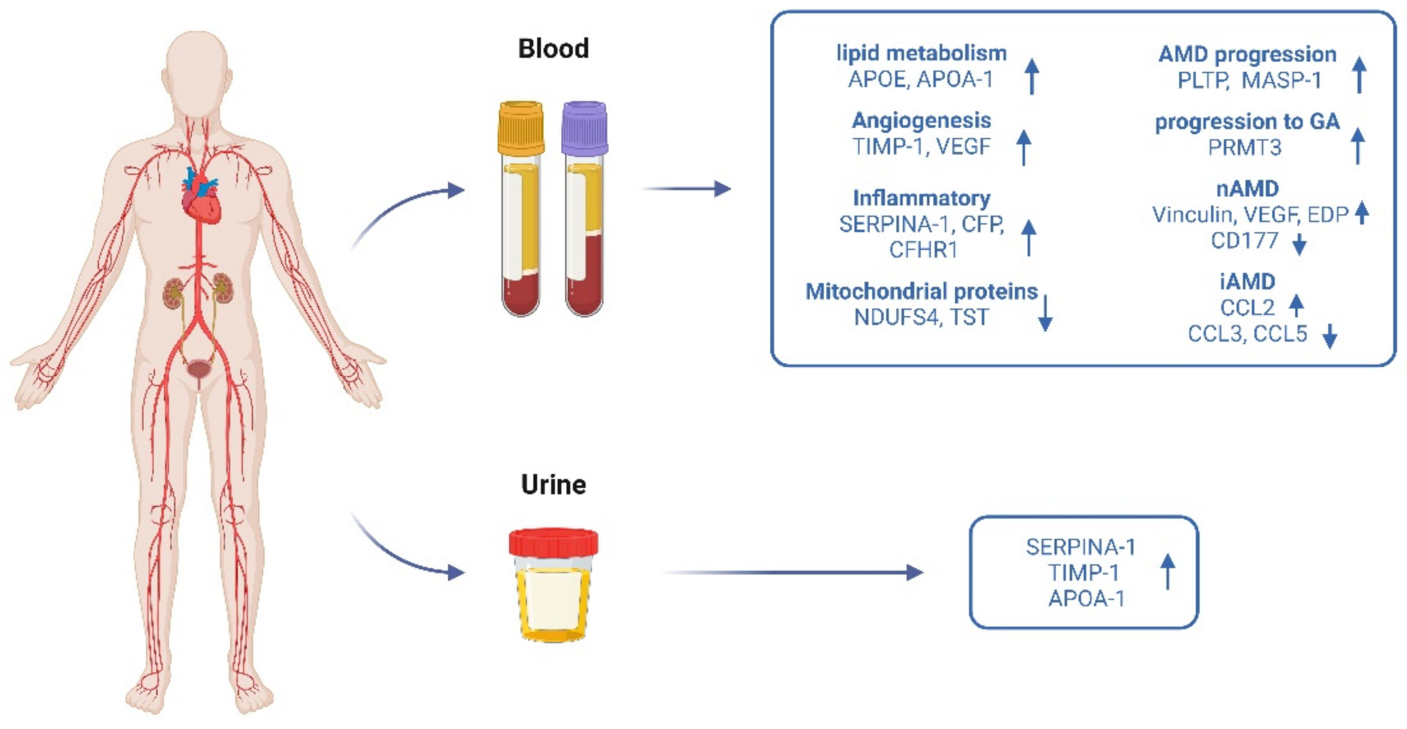 Ijms 23 14759 g003 Ijms 23 14759 g003