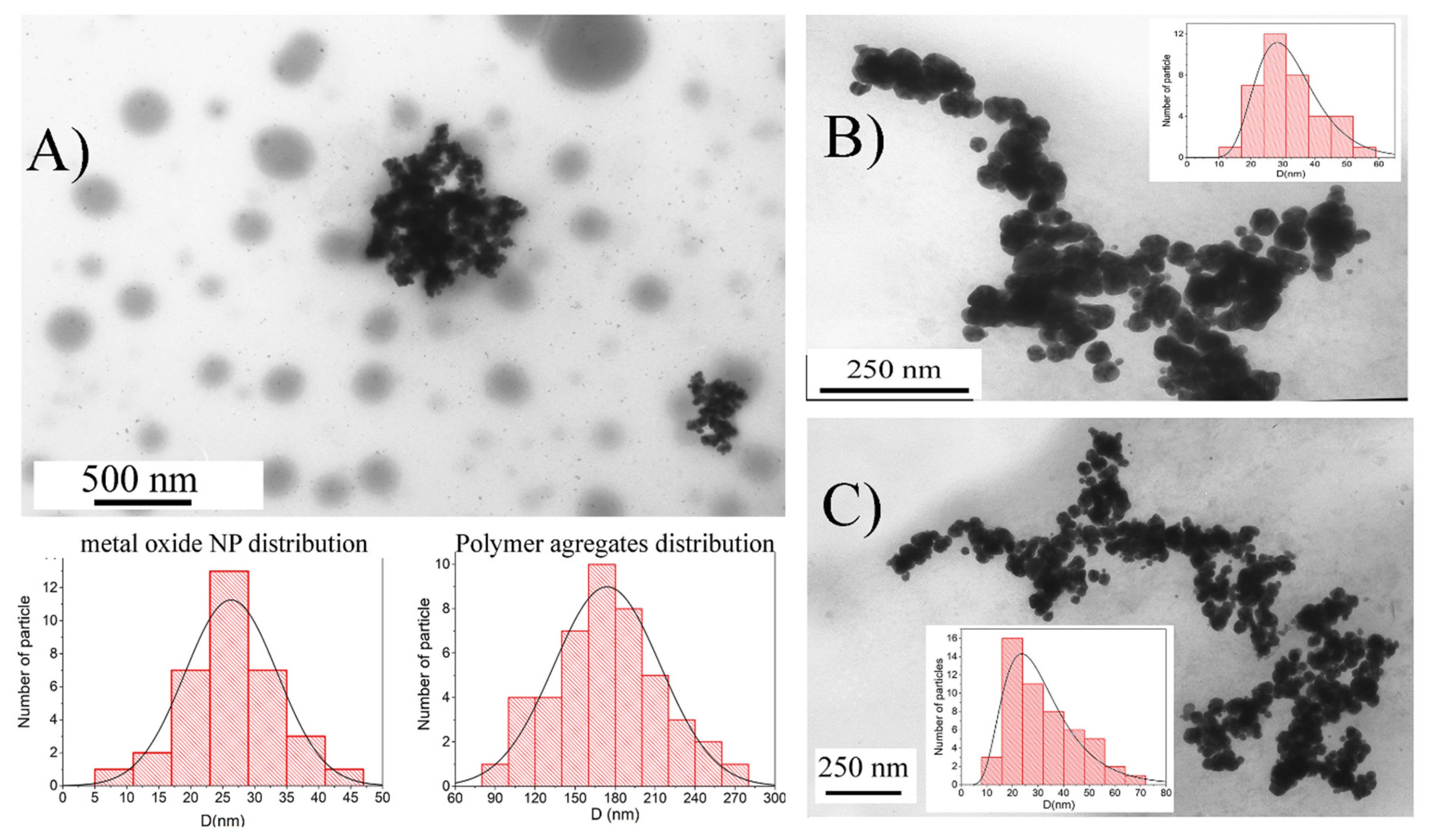 Ijms 23 14764 g001 Ijms 23 14764 g001