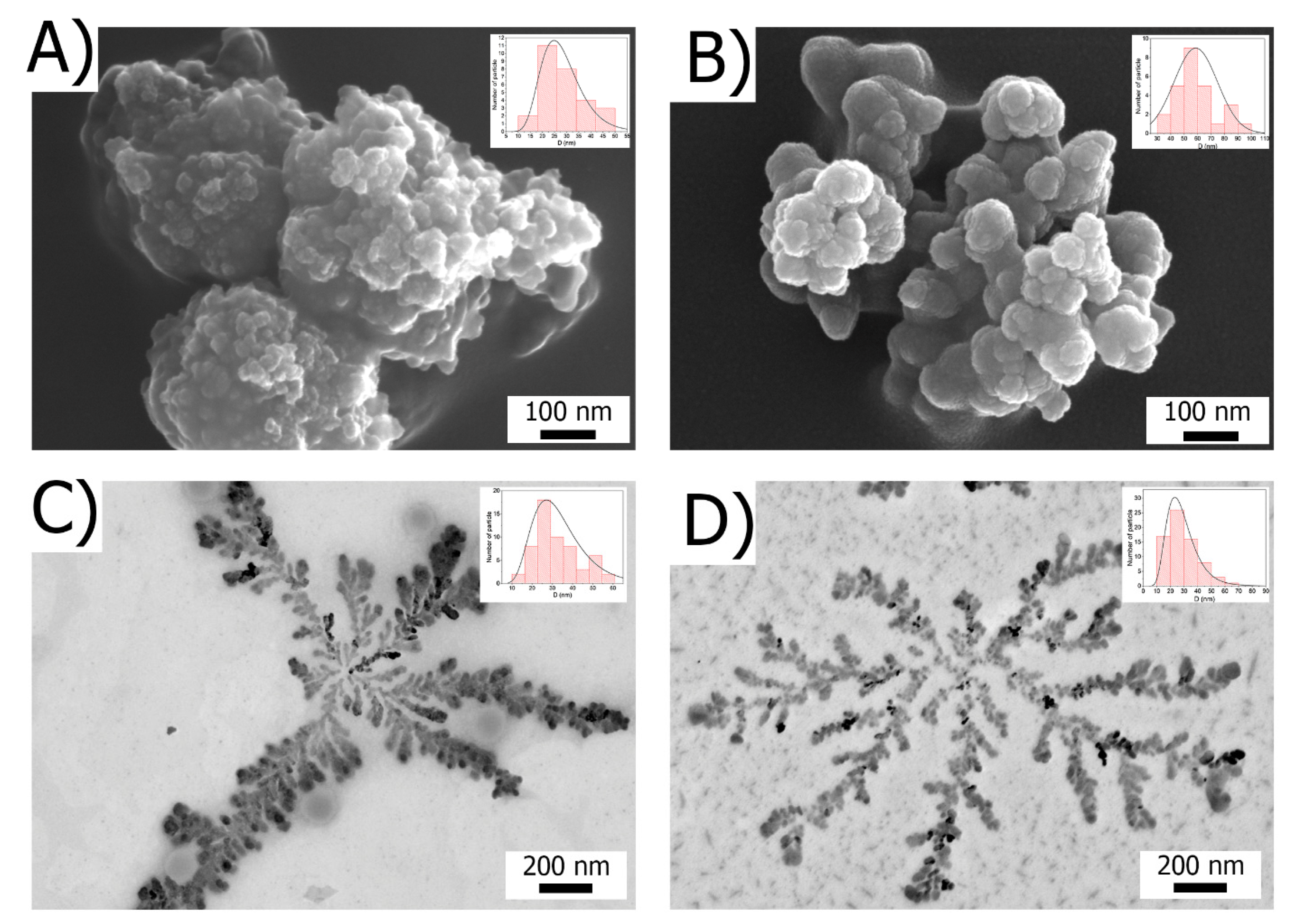 Ijms 23 14764 g002 Ijms 23 14764 g002