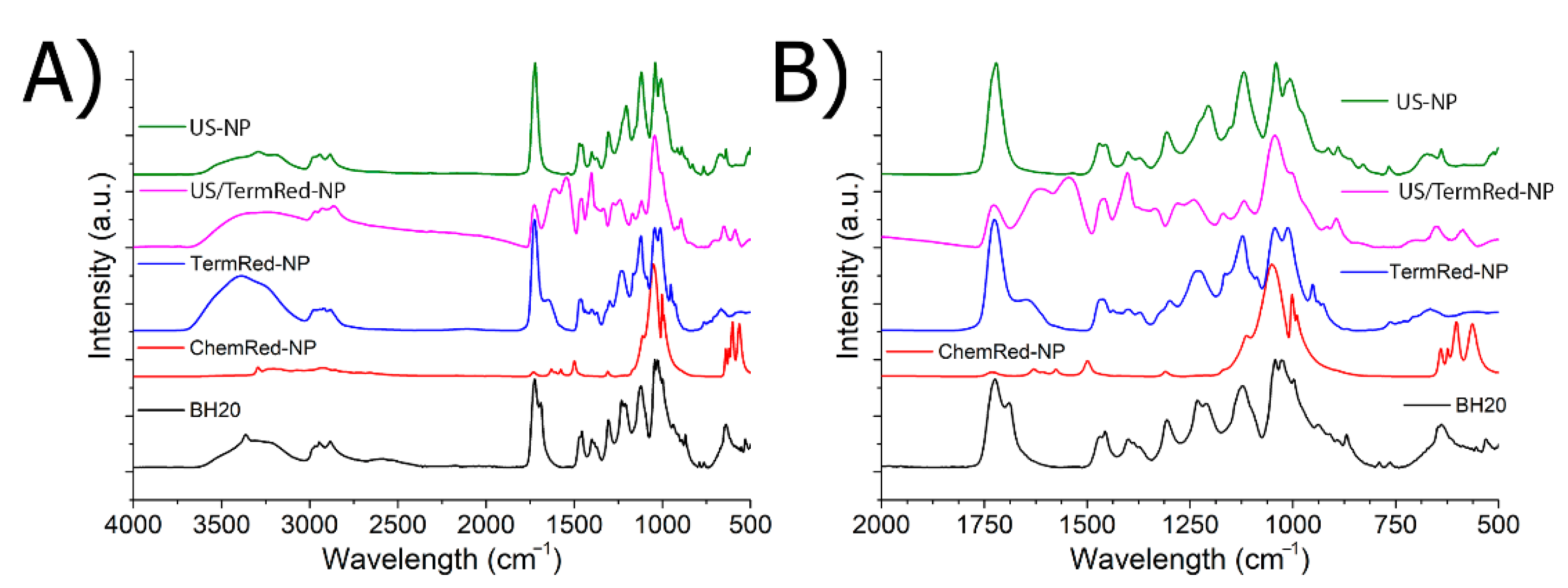 Ijms 23 14764 g003 Ijms 23 14764 g003