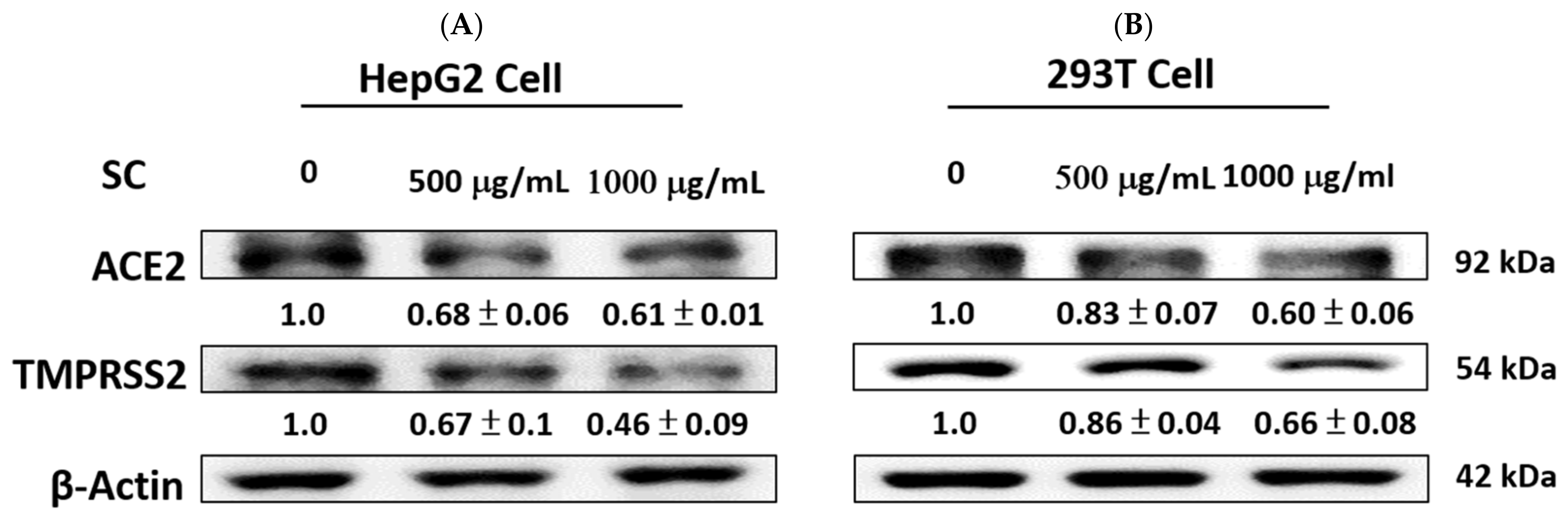 Ijms 23 14766 g002 Ijms 23 14766 g002