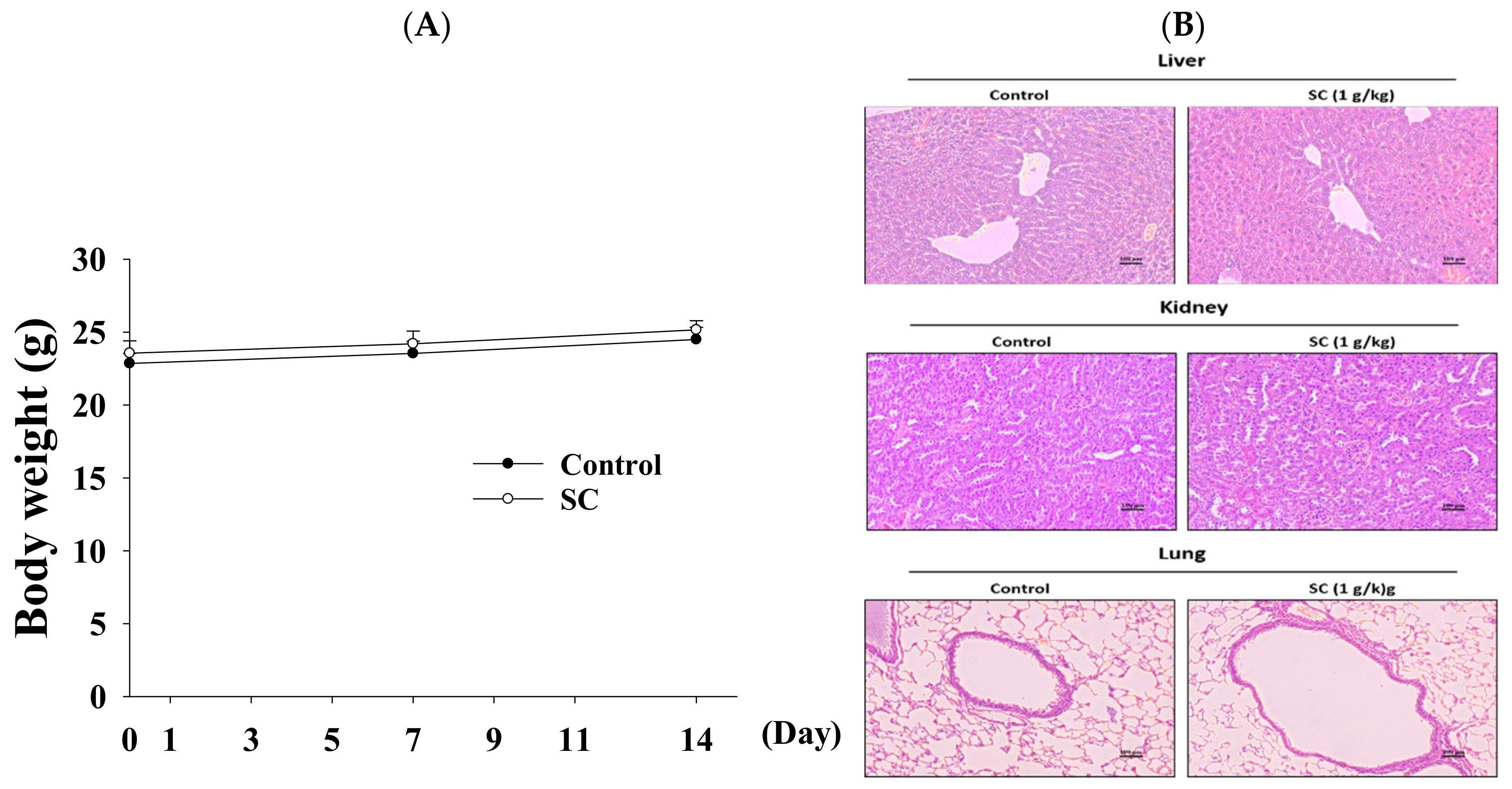 Ijms 23 14766 g005 Ijms 23 14766 g005