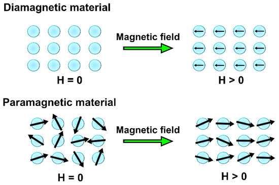 Review on Magnetism in Catalysis: From Theory to PEMFC 