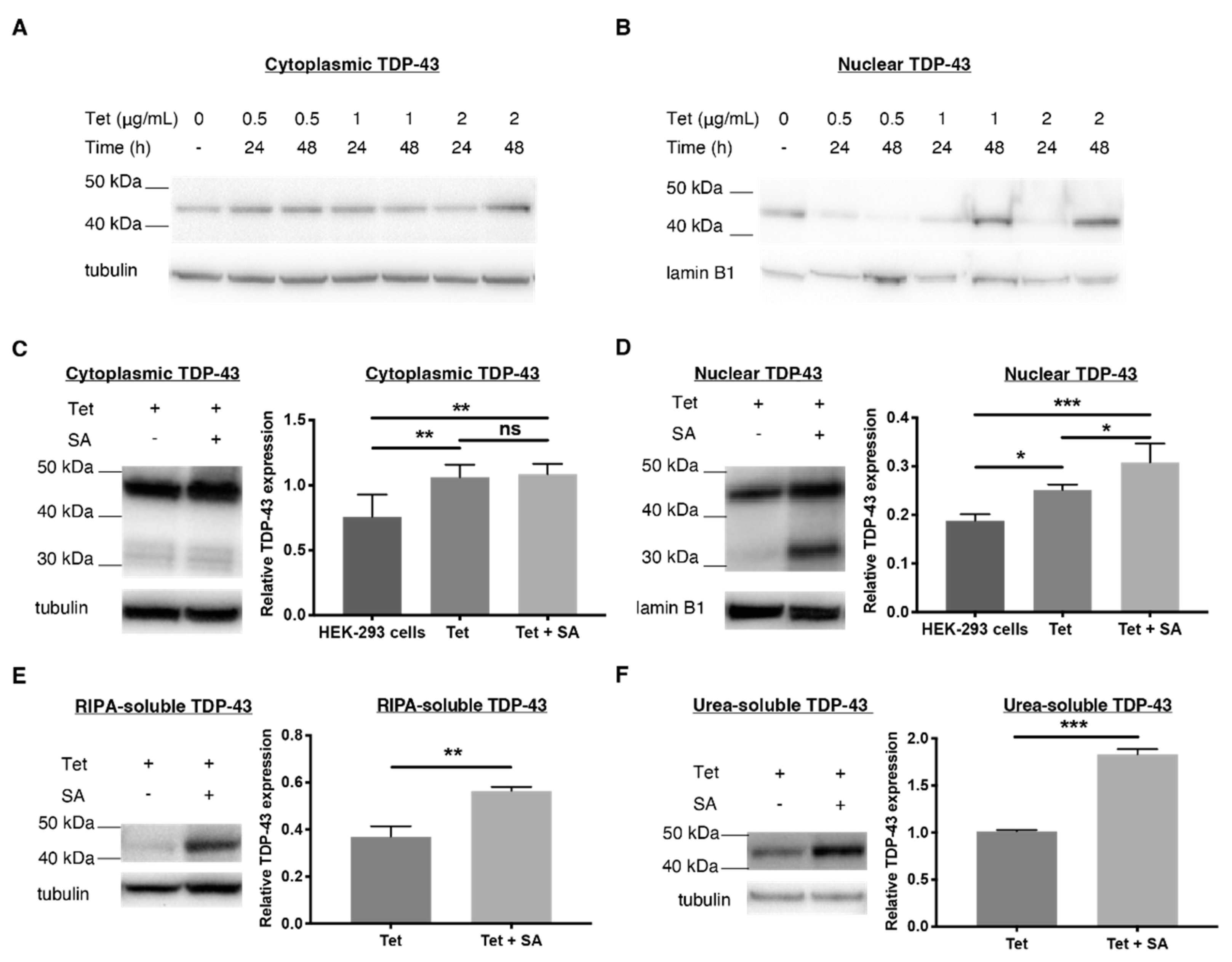 Ijms 23 14769 g001 Ijms 23 14769 g001