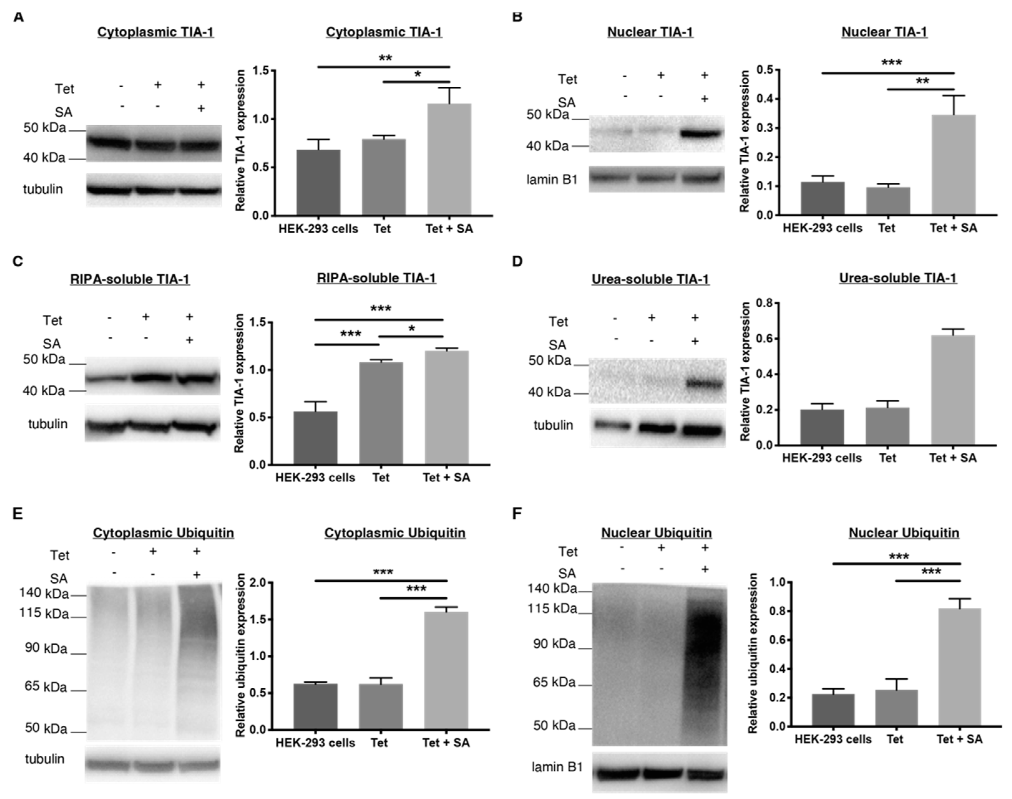 Ijms 23 14769 g002 Ijms 23 14769 g002